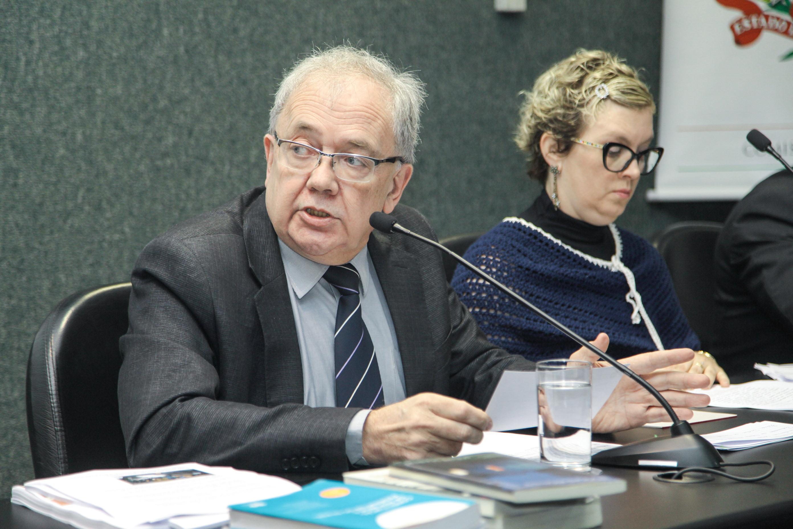 Audiência Pública Sobre a Distribuição Gratuita de Análogos de Insulina.