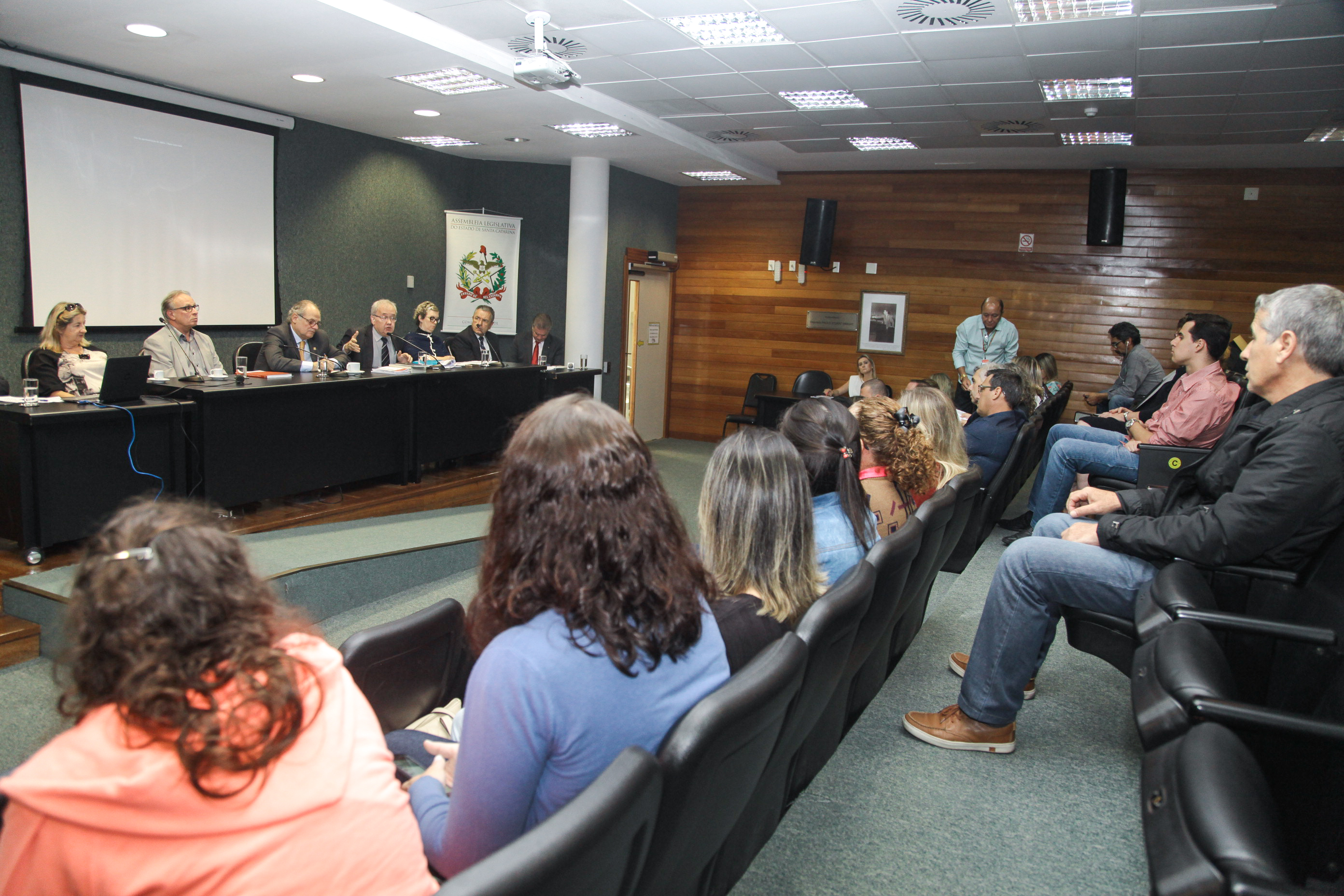 Audiência Pública Sobre a Distribuição Gratuita de Análogos de Insulina.