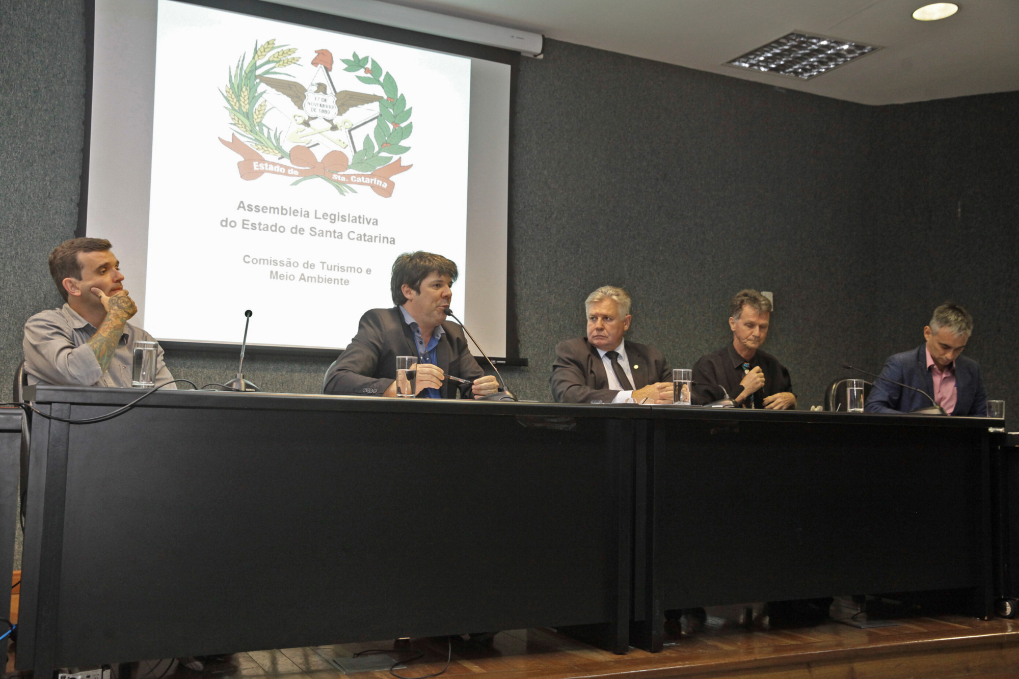 Em audiência pública, Liga defende investimentos públicos no carnaval