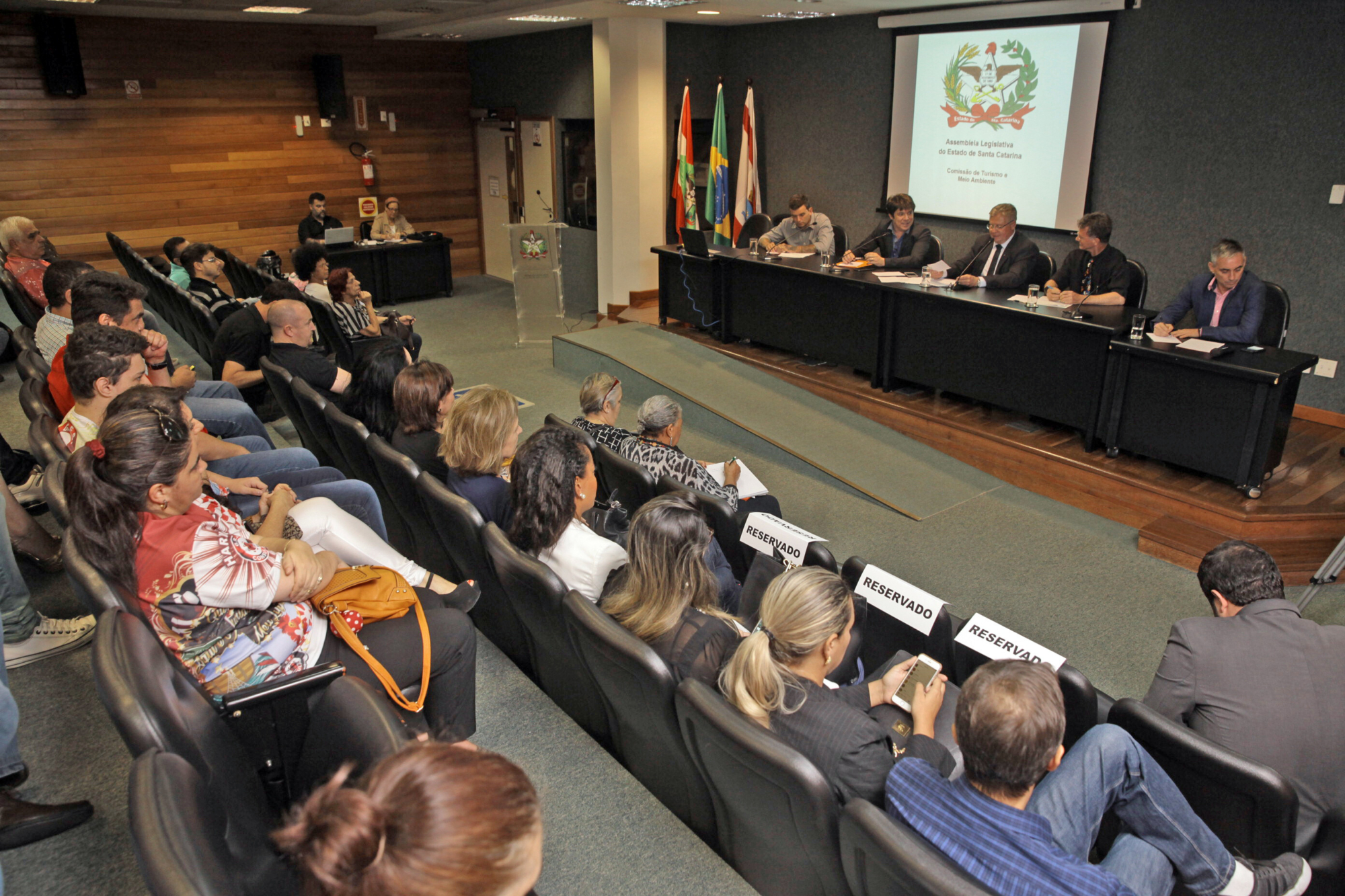 Audiência pública discute financiamento do carnaval em SC