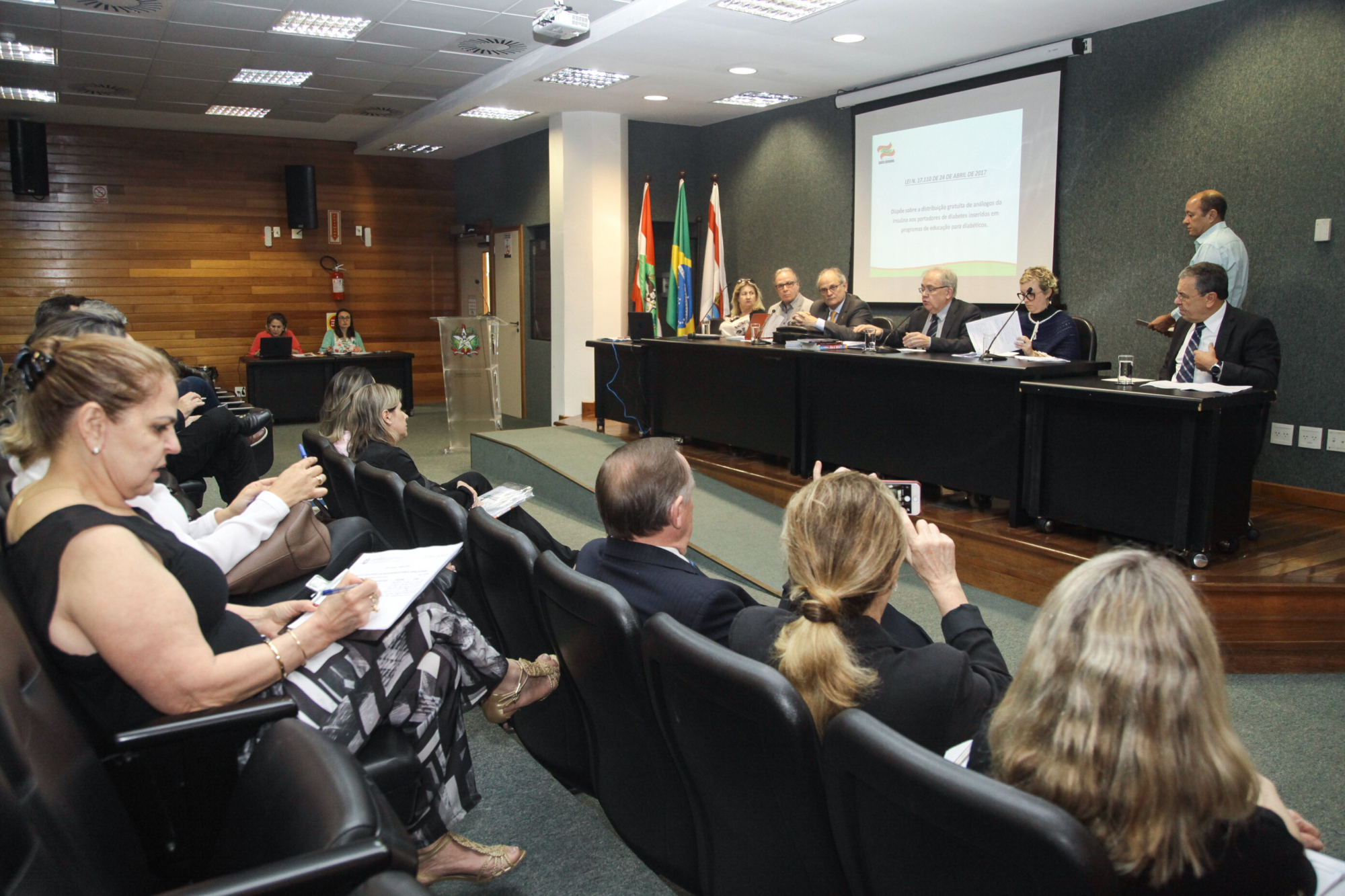 Audiência pública discute lei que prevê distribuição de análogos de insulina
