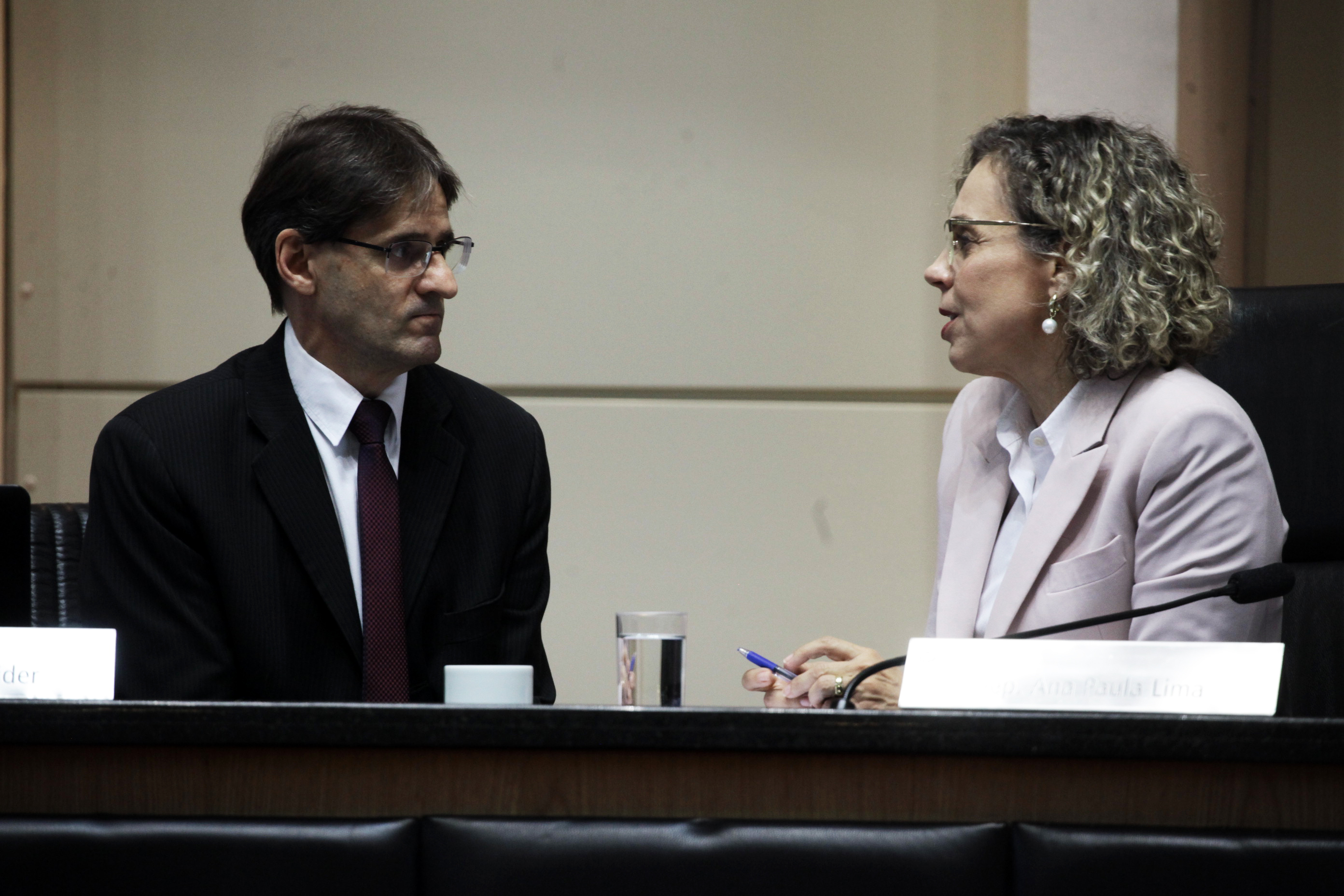 Sessão Ordinária. Foto: Fábio Queiroz / Agência AL