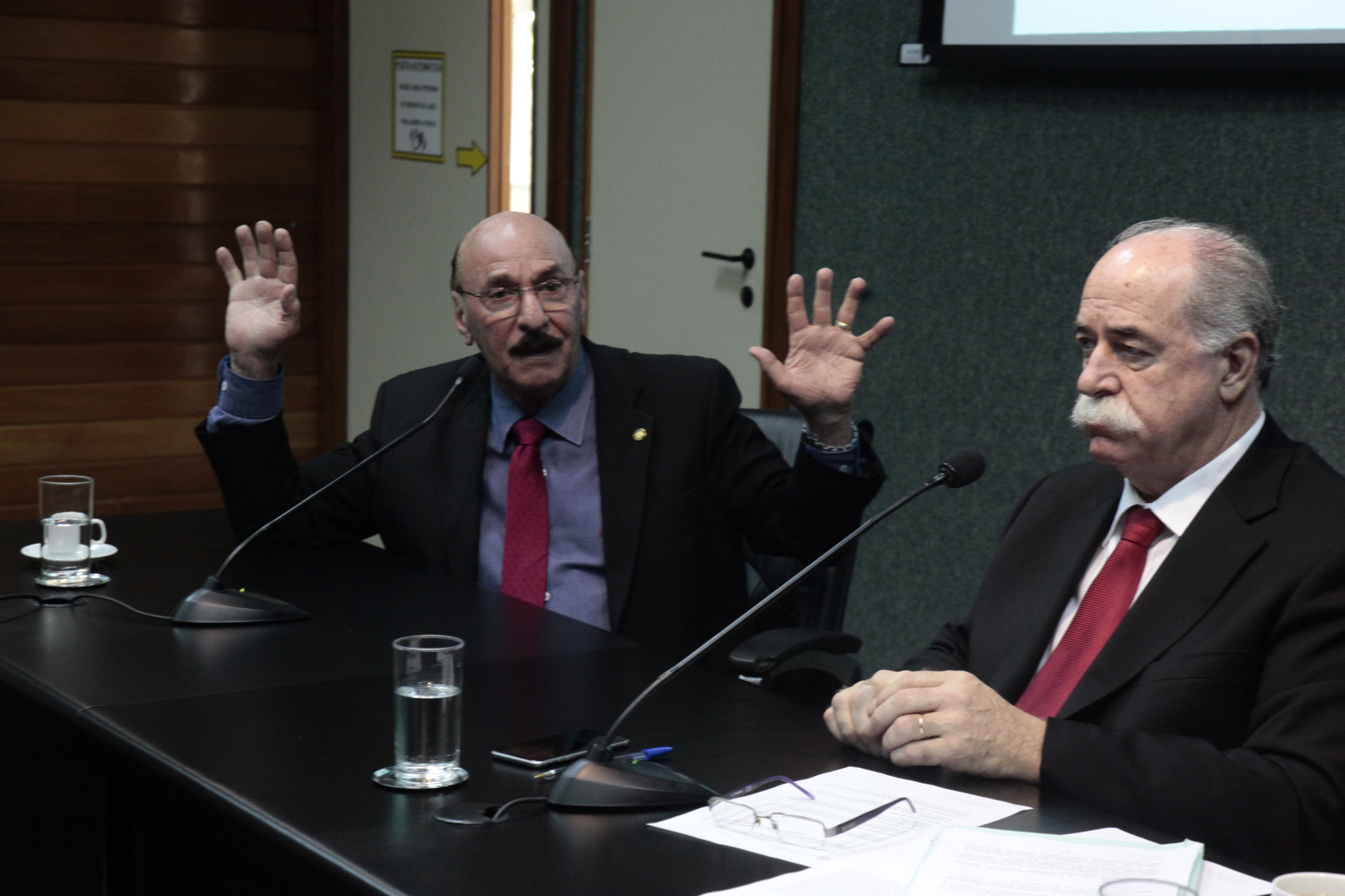Comissão de Segurança Pública