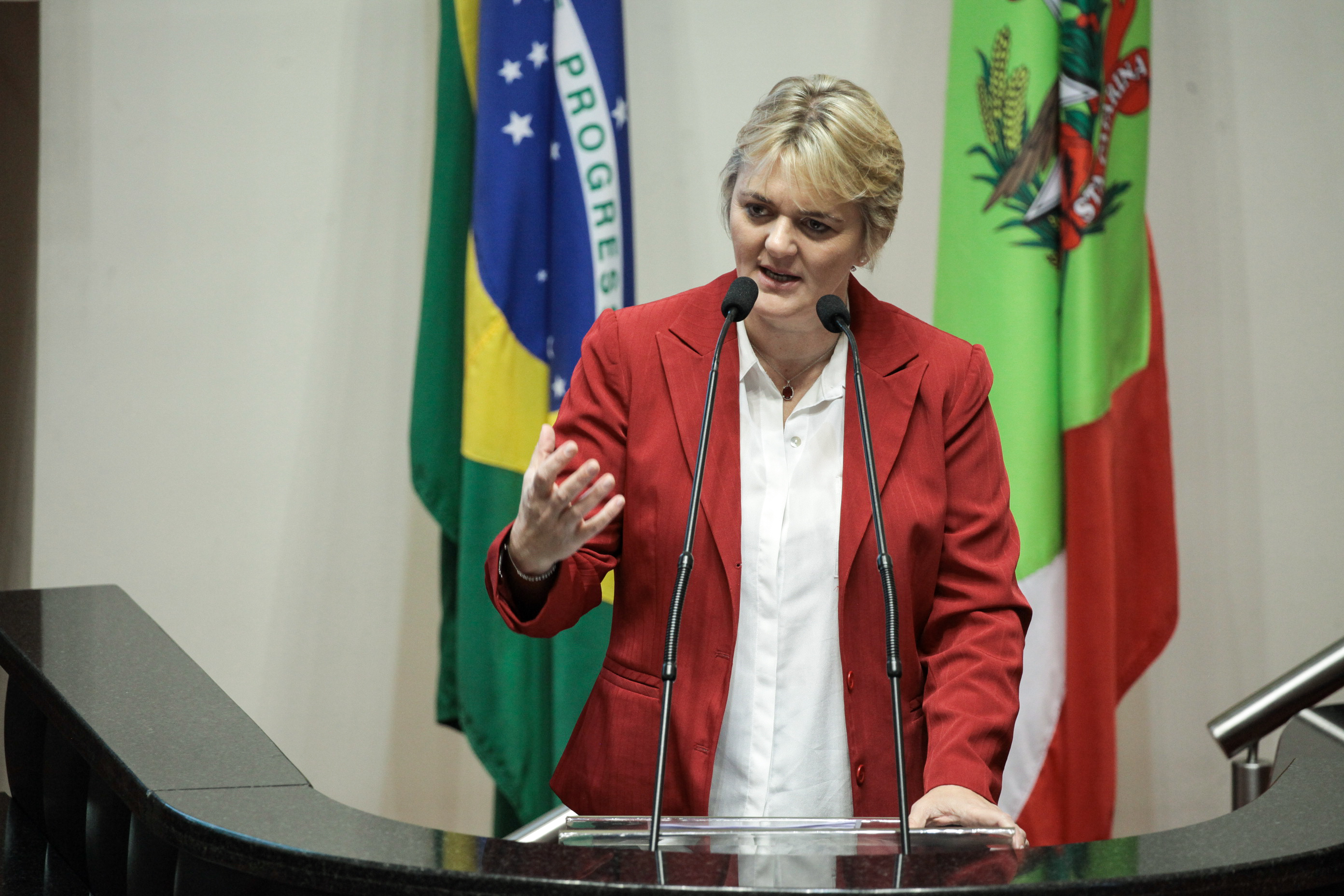 Deputada Luciane Carminatti (PT). Sessão Ordinária.