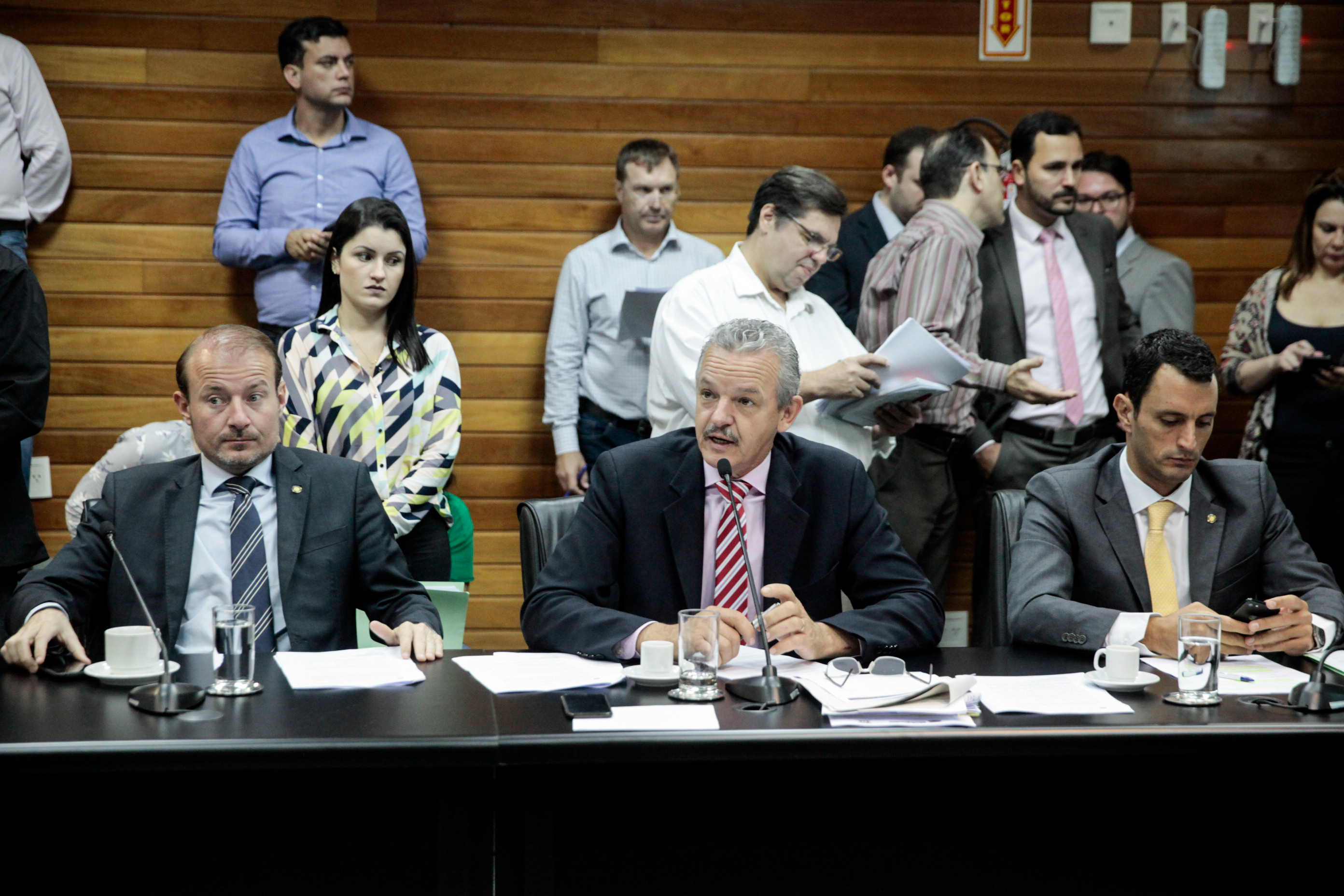 Comissão de Constituição e Justiça.