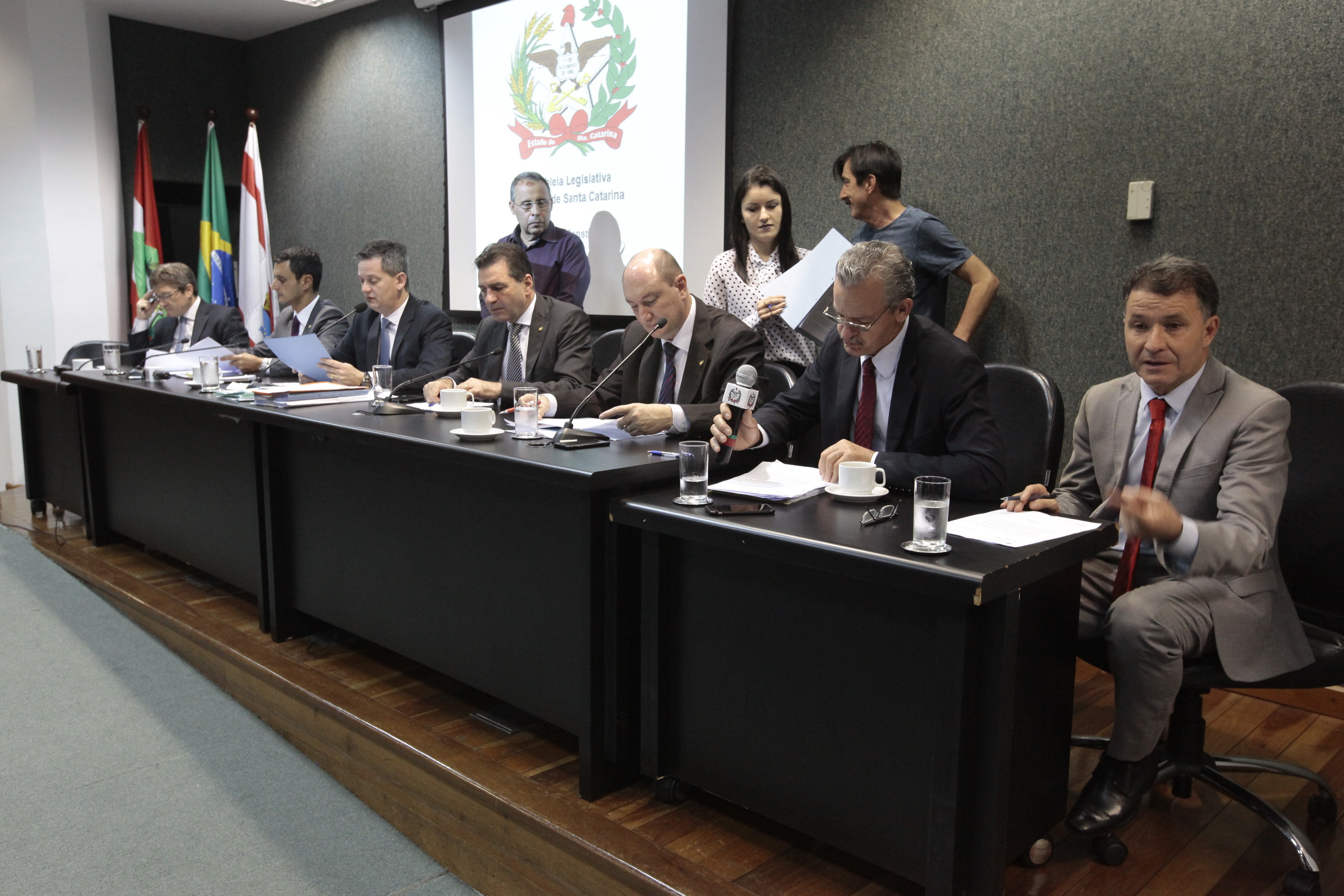 Comissão de Constituição e Justiça.