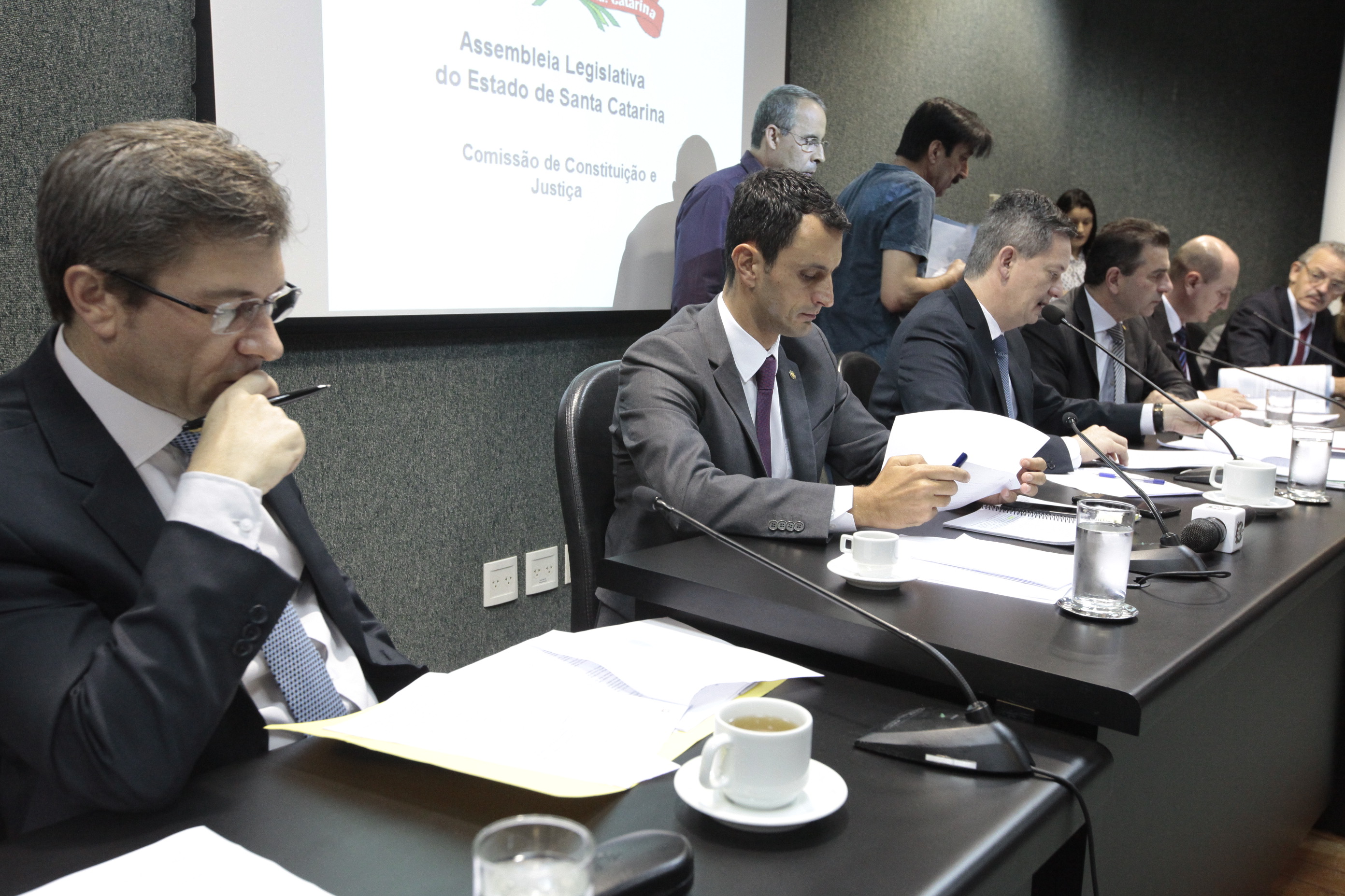 Comissão de Constituição e Justiça.