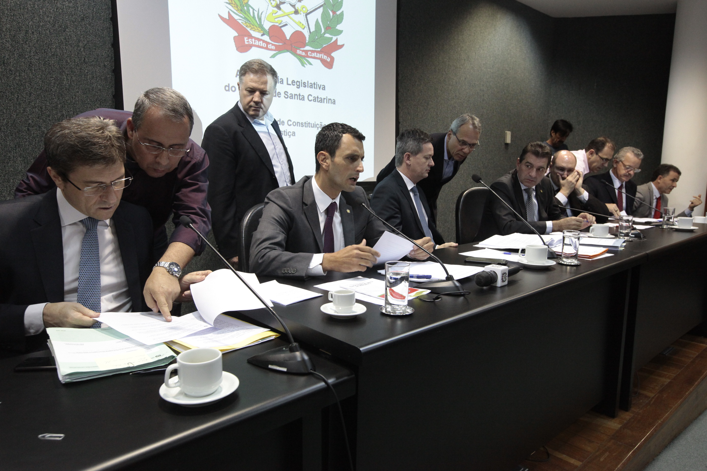 Comissão de Constituição e Justiça.