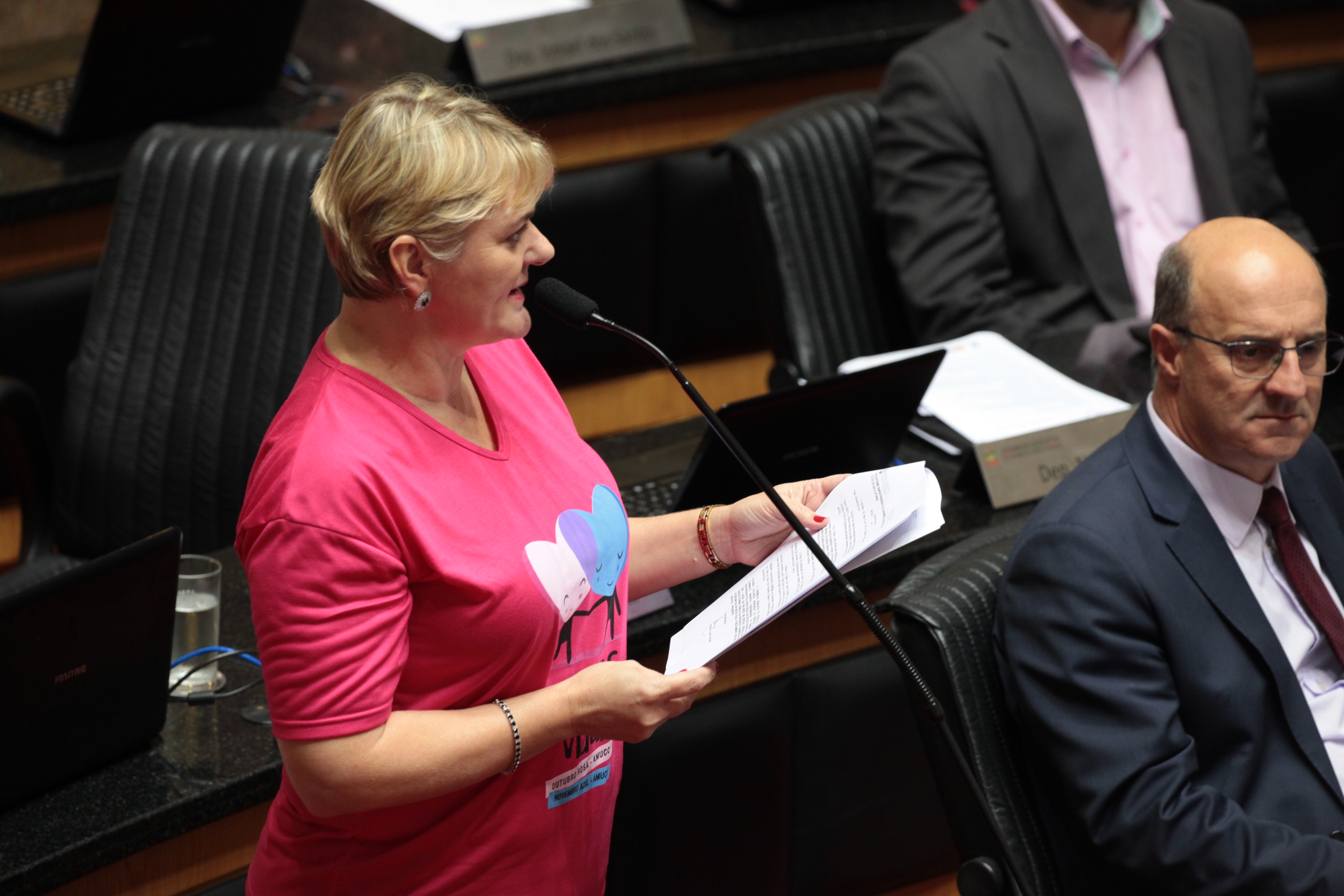 Sessão Ordinária. Deputada Luciane Carminatti (PT)