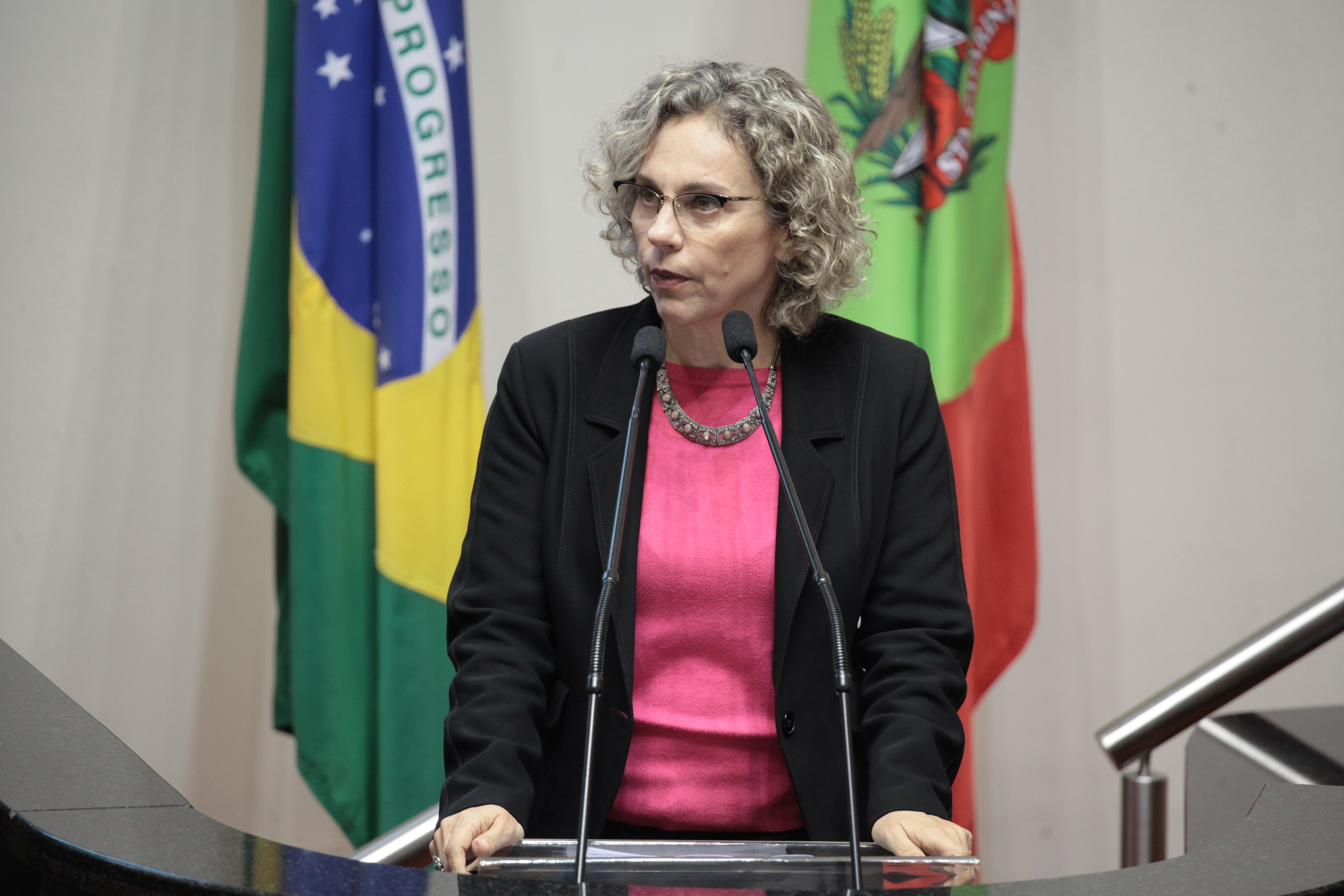Deputada Ana Paula Lima (PT). Sessão Ordinária.