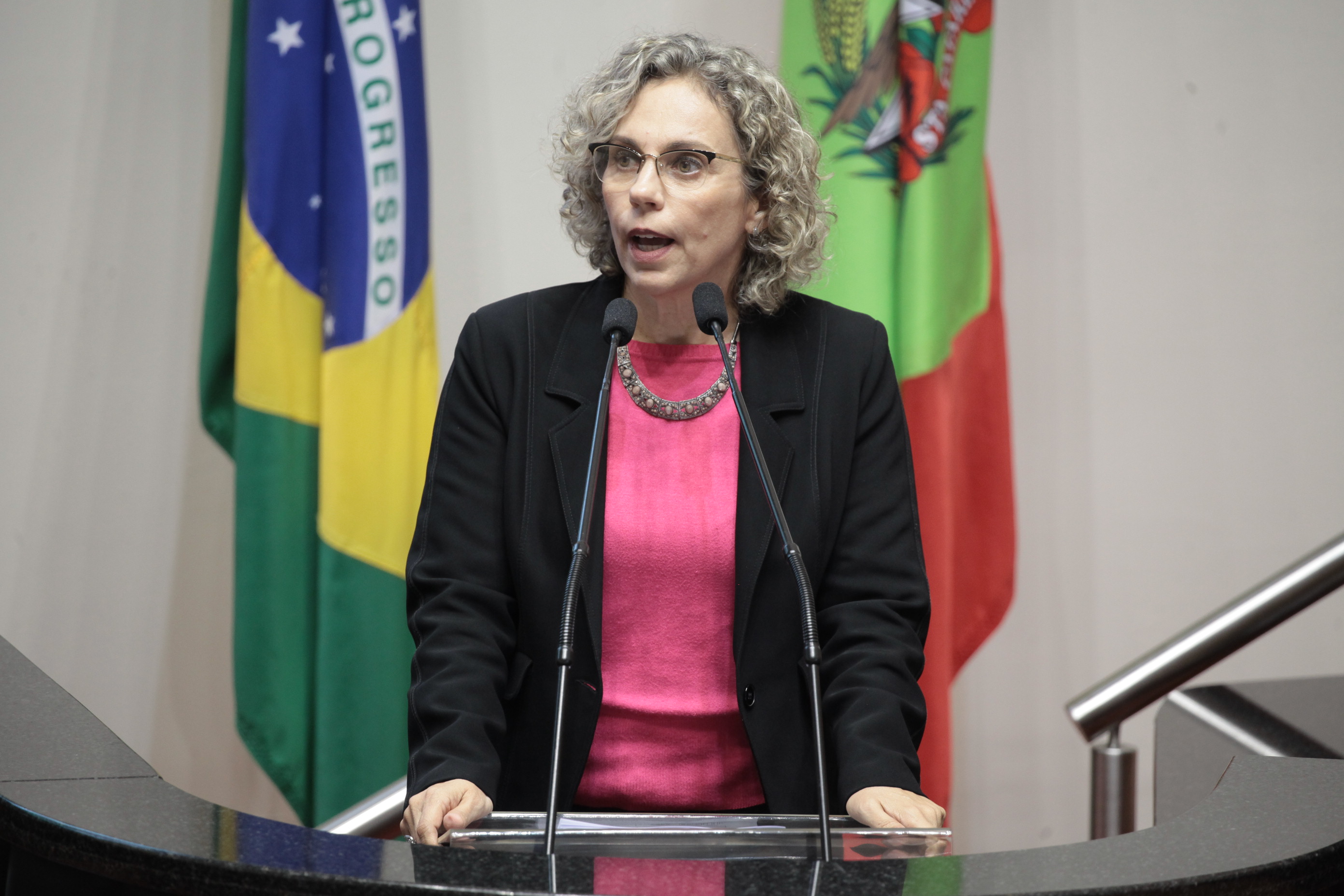 Deputada Ana Paula Lima (PT). Sessão Ordinária.