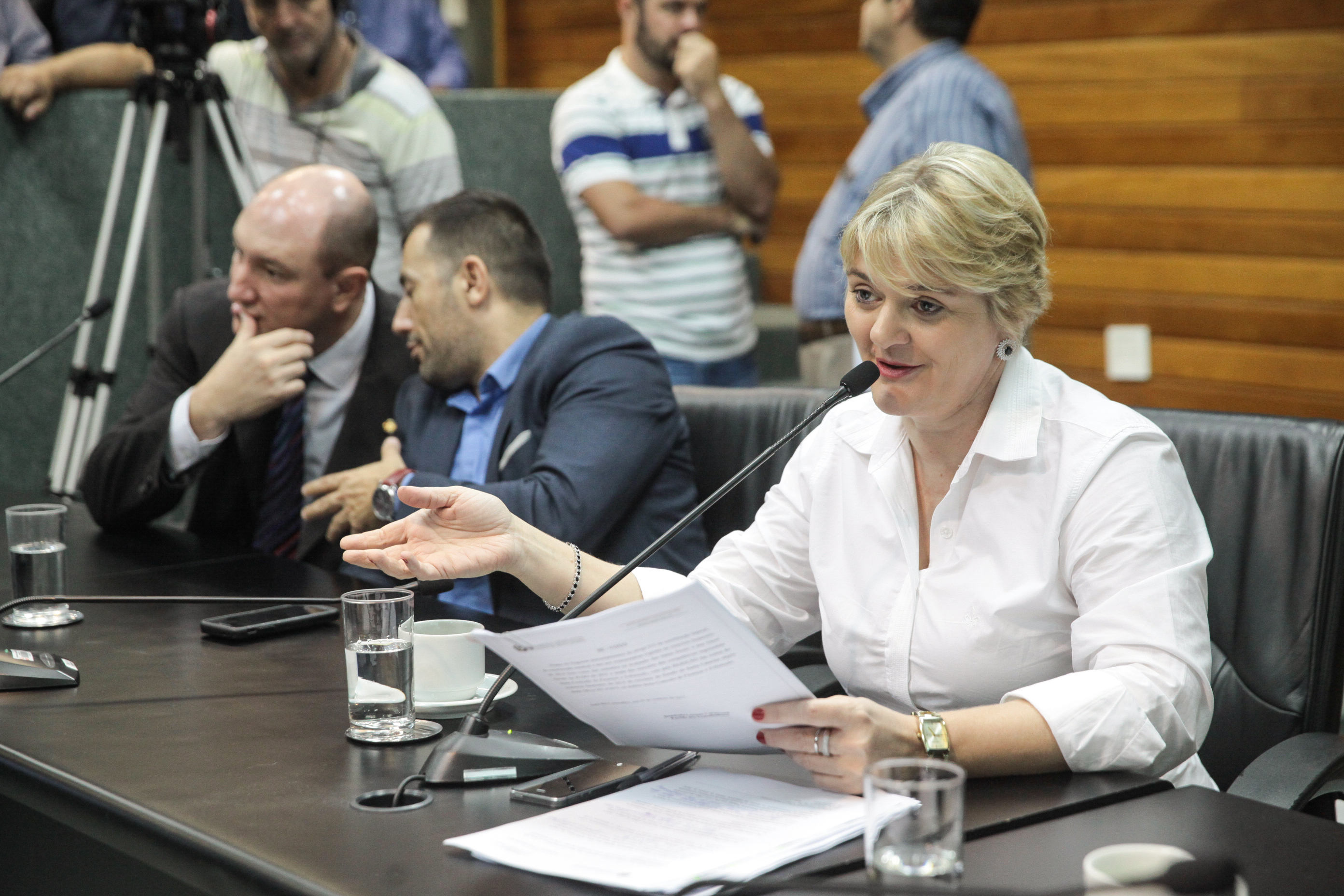 Deputada Luciane Carminatti (PT). Comissão de Finanças e Tributação.