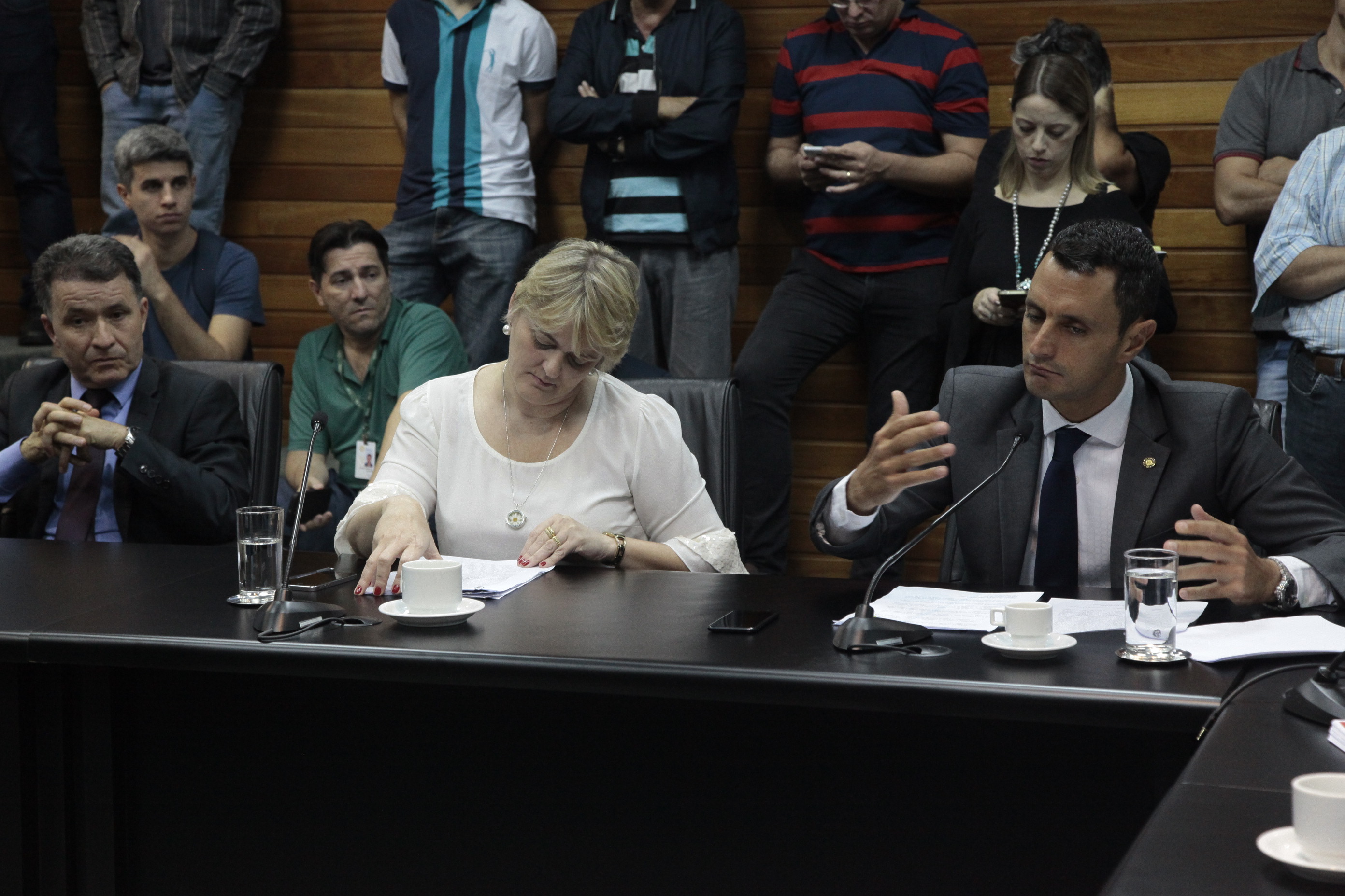 Reunião Extraordinária da Comissão de Constituição e Justiça