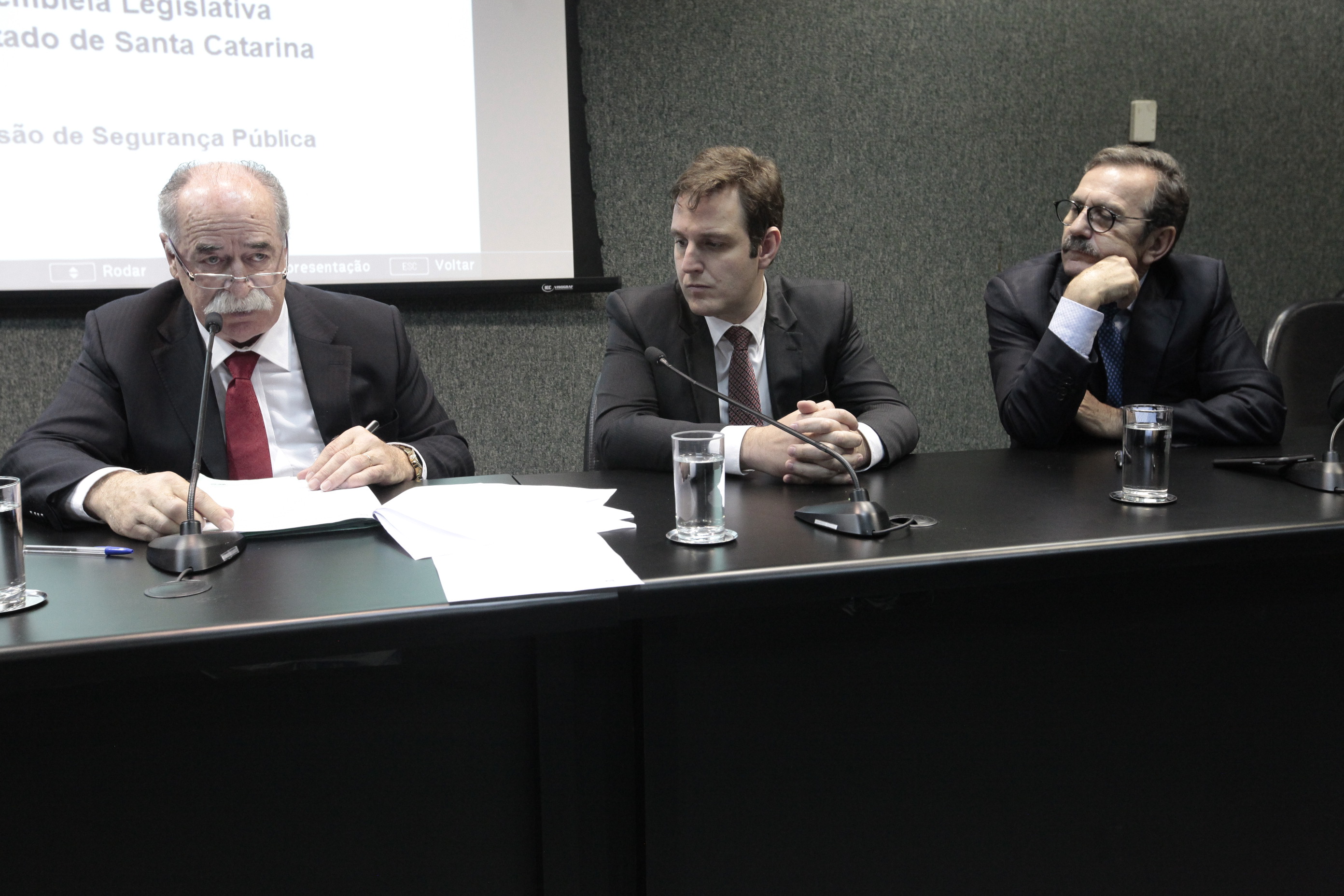 Comissão de Segurança Pública