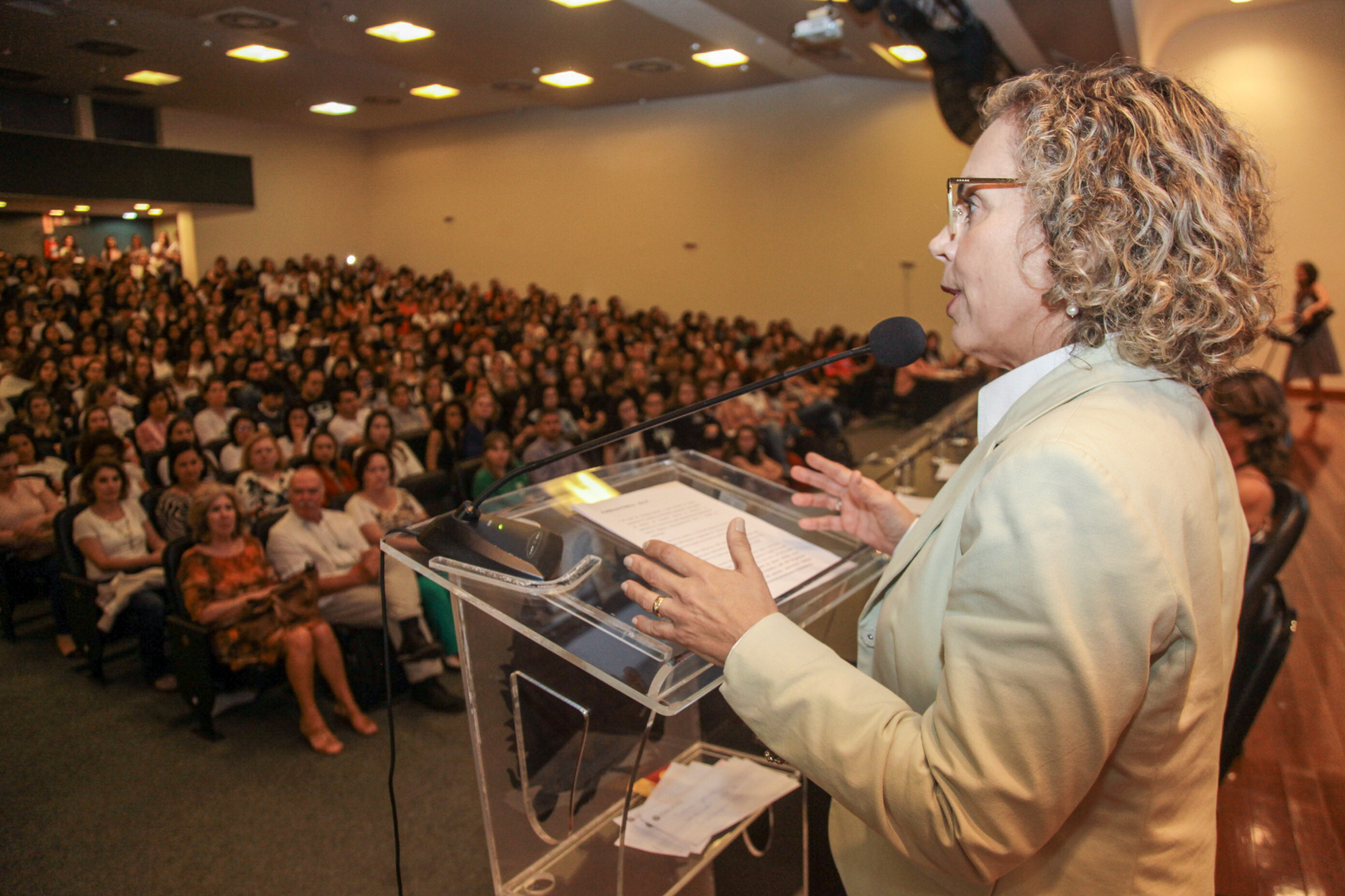 Deputada Ana Paula Lima, autora do requerimento que solicitou a audiência