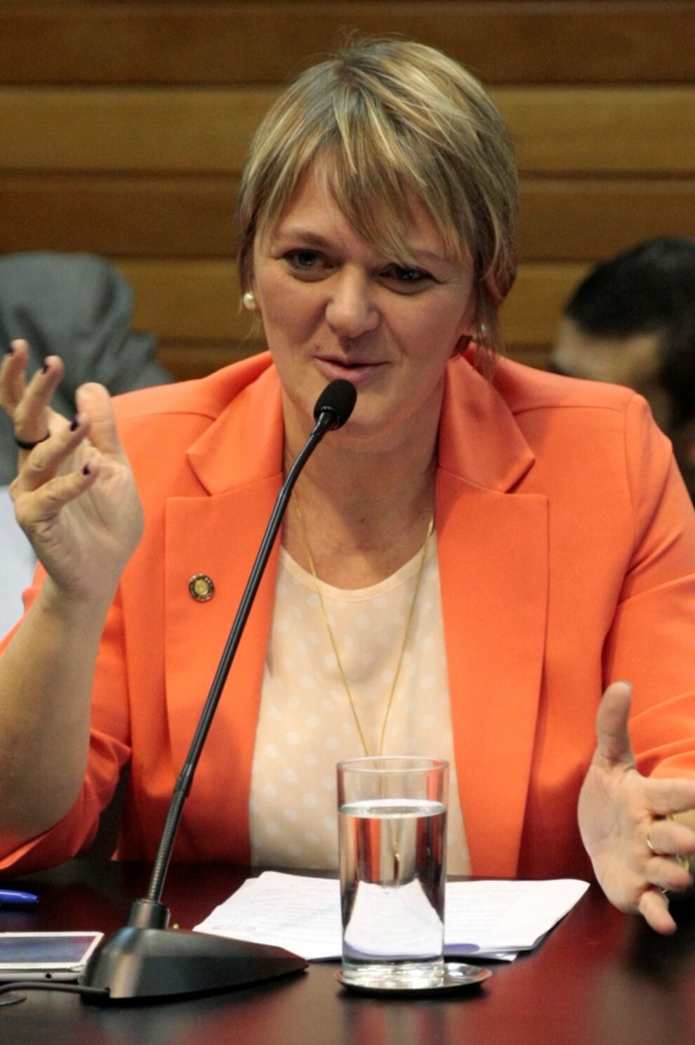 São Miguel do Oeste recebe encontro regional para debater políticas e fomento à economia solidária