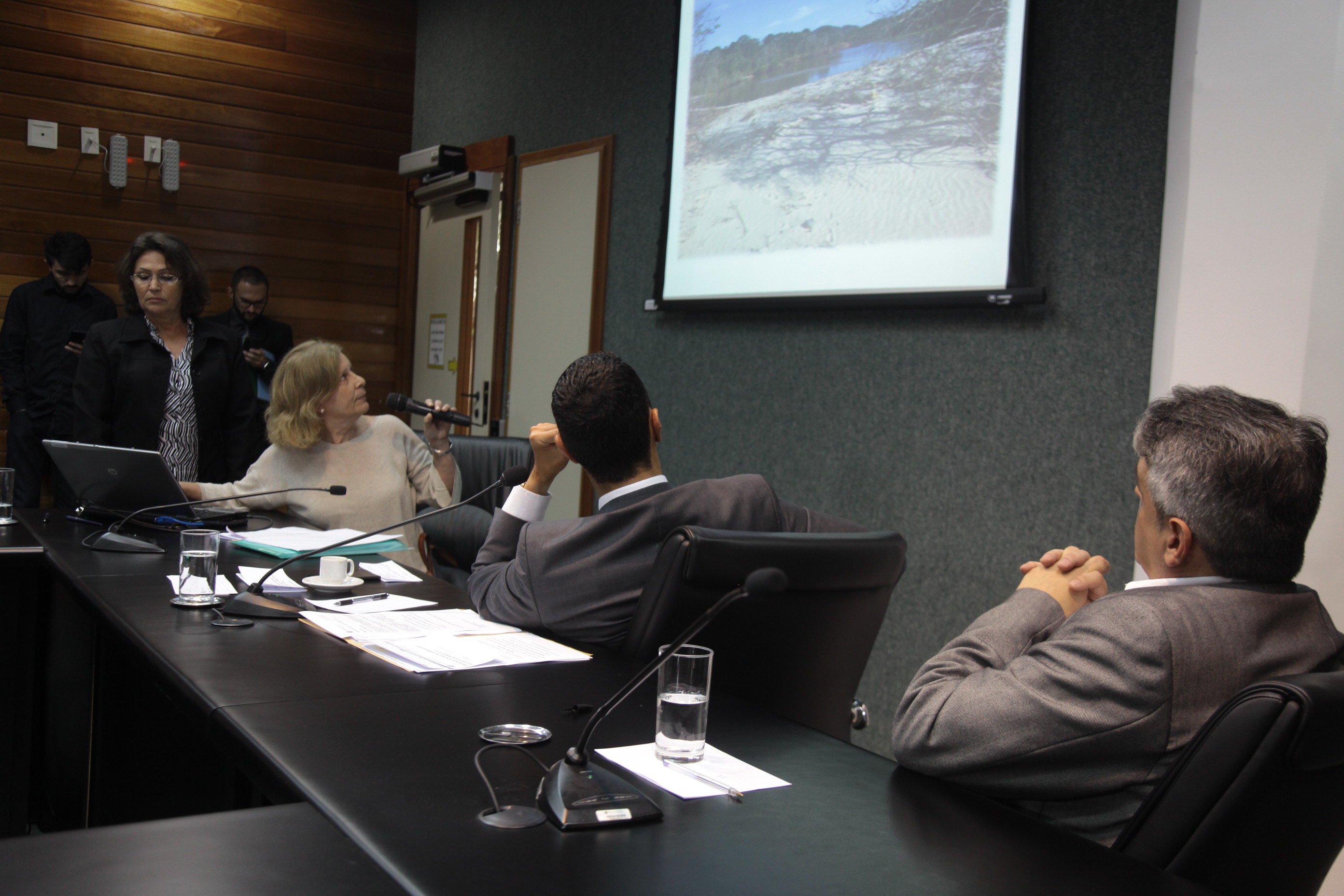 Reunião da Comissão de Transportes e Desenvolvimento Urbano.