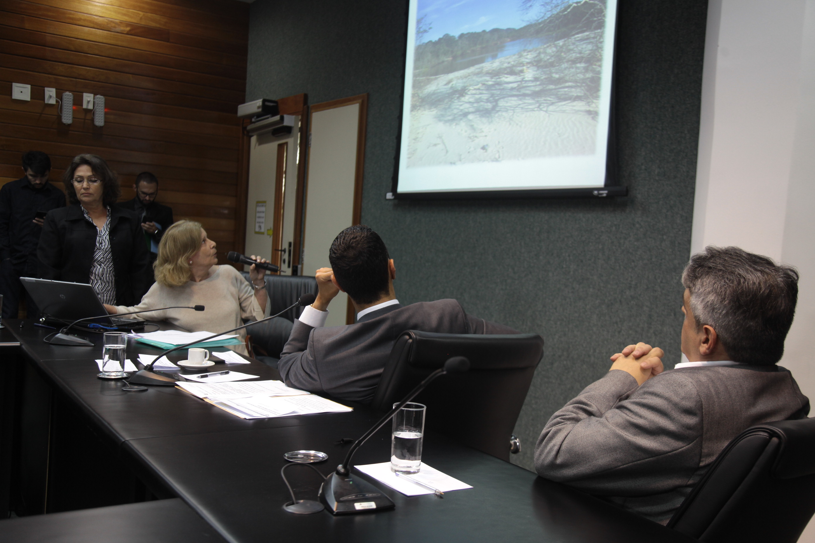 Reunião da Comissão de Transportes e Desenvolvimento Urbano.