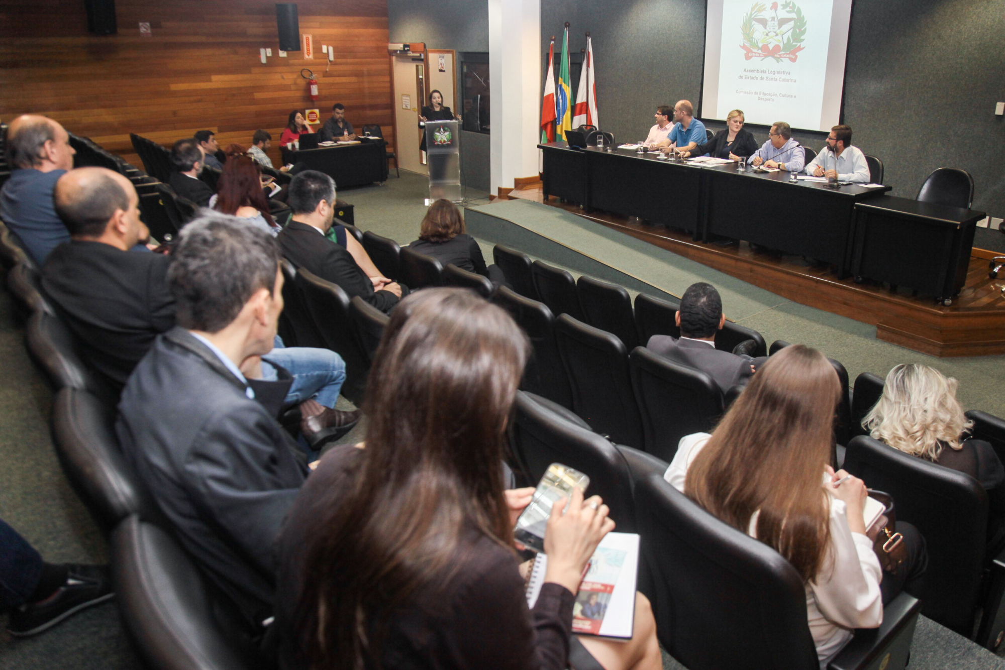 Crise em instituições de ensino comunitário é debatida na Assembleia Legislativa