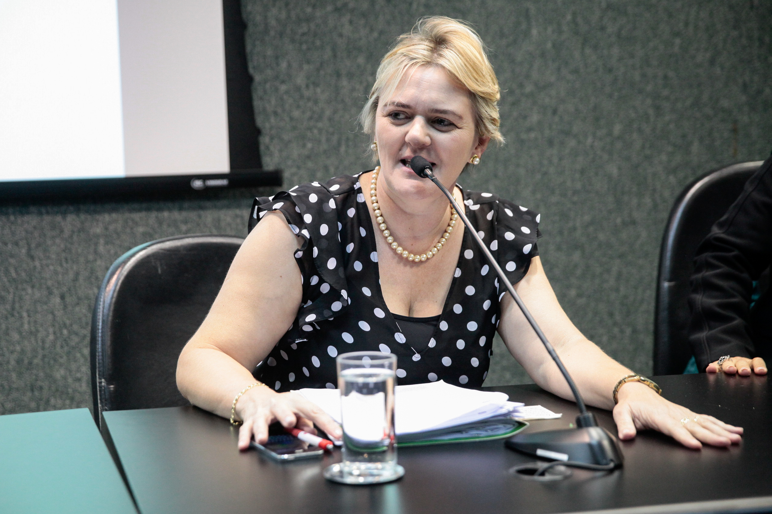 Deputada Luciane Carminatti (PT). Comissão de Educação, Cultura e Desporto.