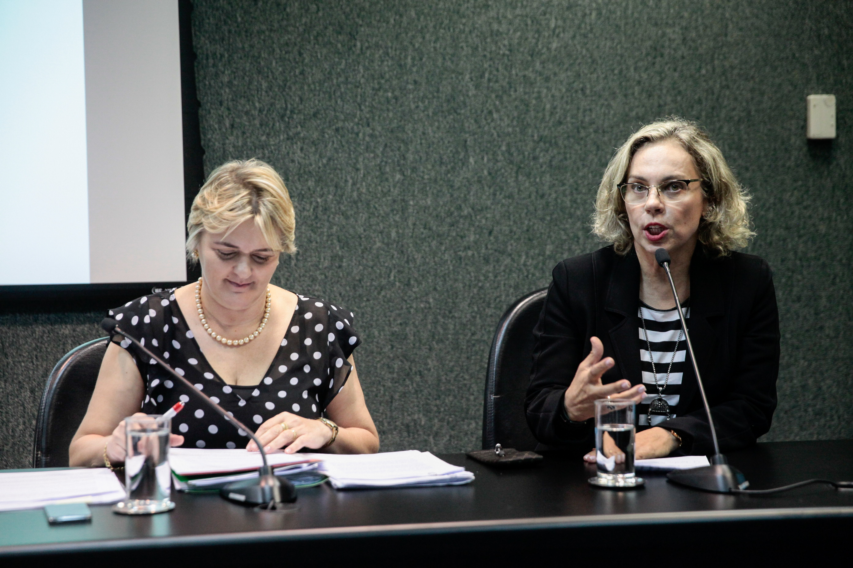 Deputada Ana Paula Lima (PT). Comissão de Educação, Cultura e Desporto.