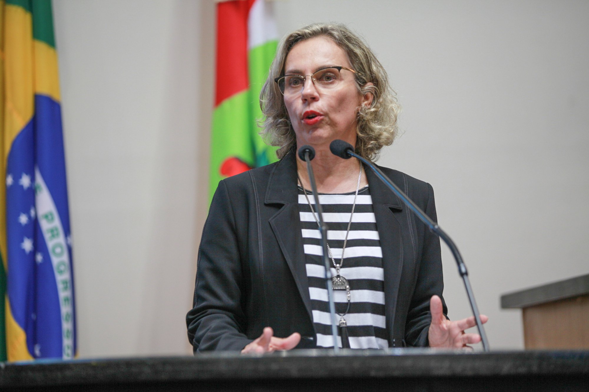 Deputada Ana Paula Lima