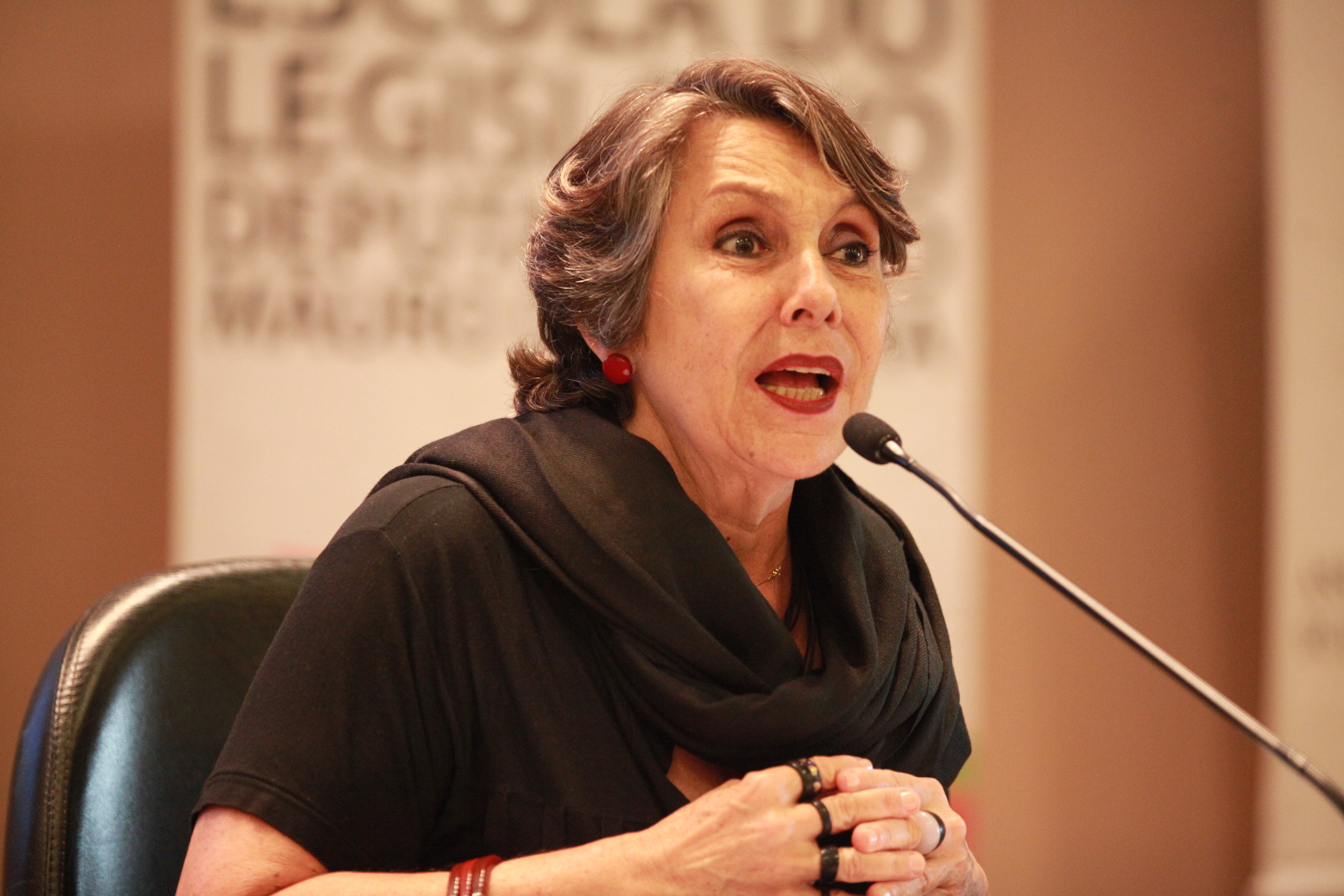 VI Seminário Sobre Energias Renováveis - Érika Kokay. Foto: Solon Soares