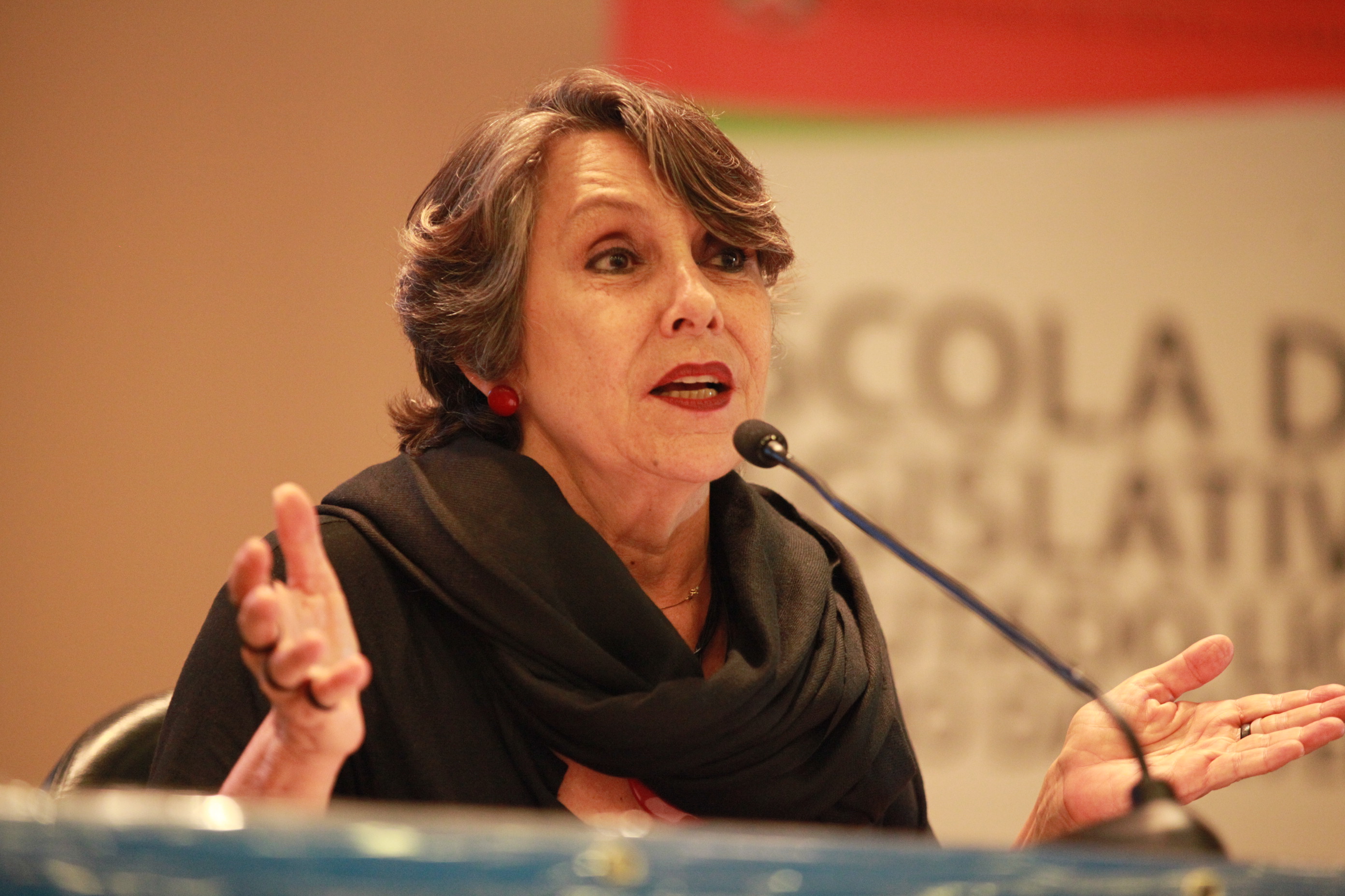 VI Seminário Sobre Energias Renováveis - Érika Kokay. Foto: Solon Soares