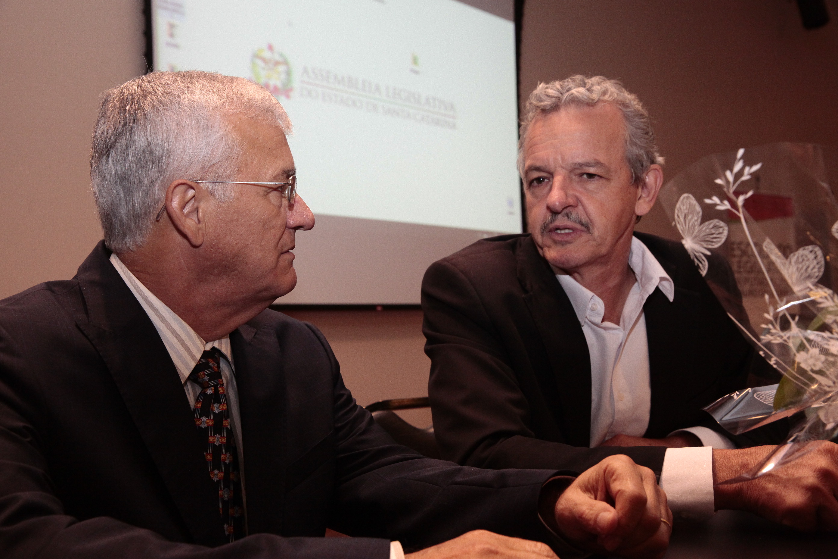 VI Seminário Sobre Energias Renováveis Consumo Responsável e Cidades do Futuro (foto Eduardo Gudes)