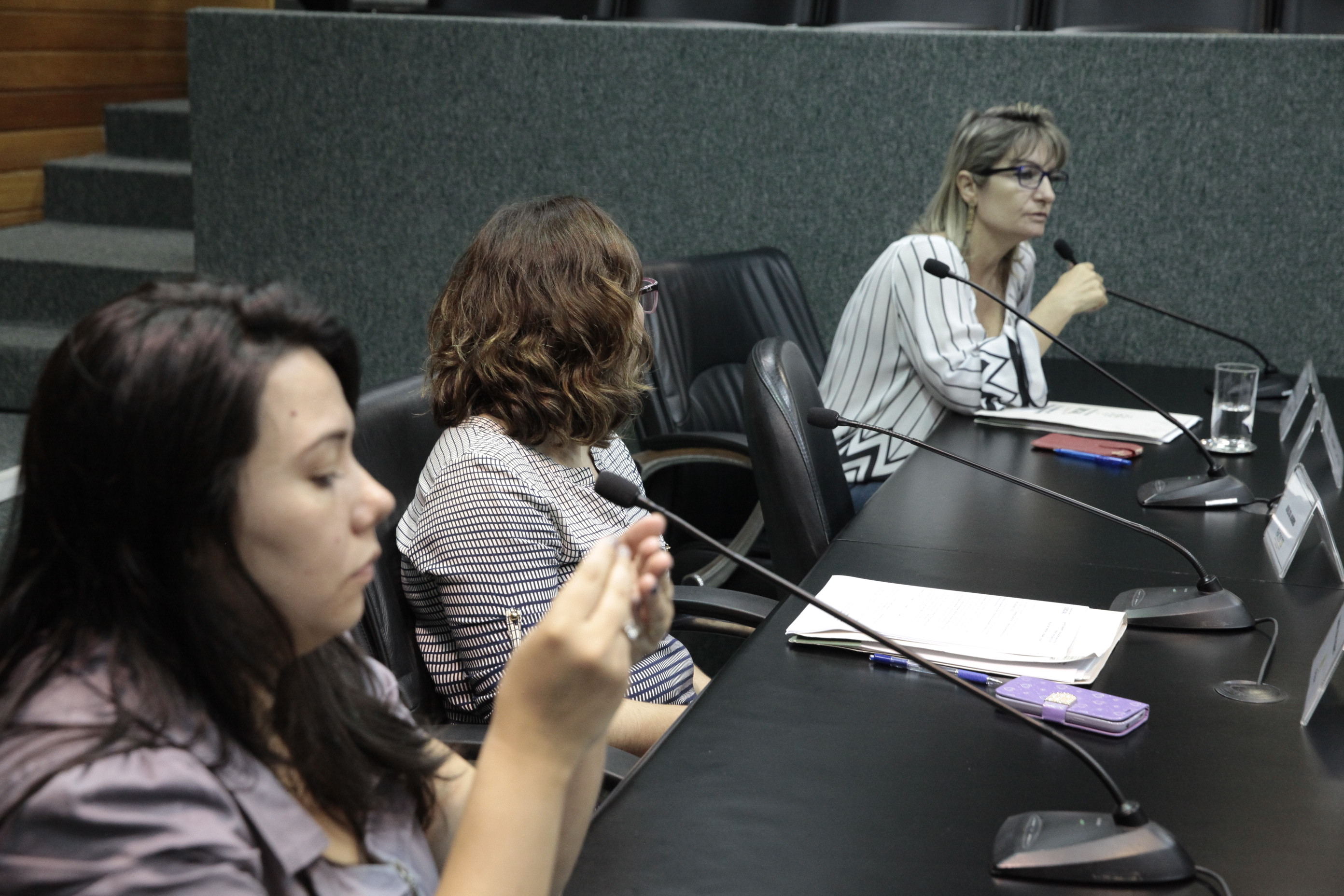 Reunião da Comissão de Responsabilidade Social.