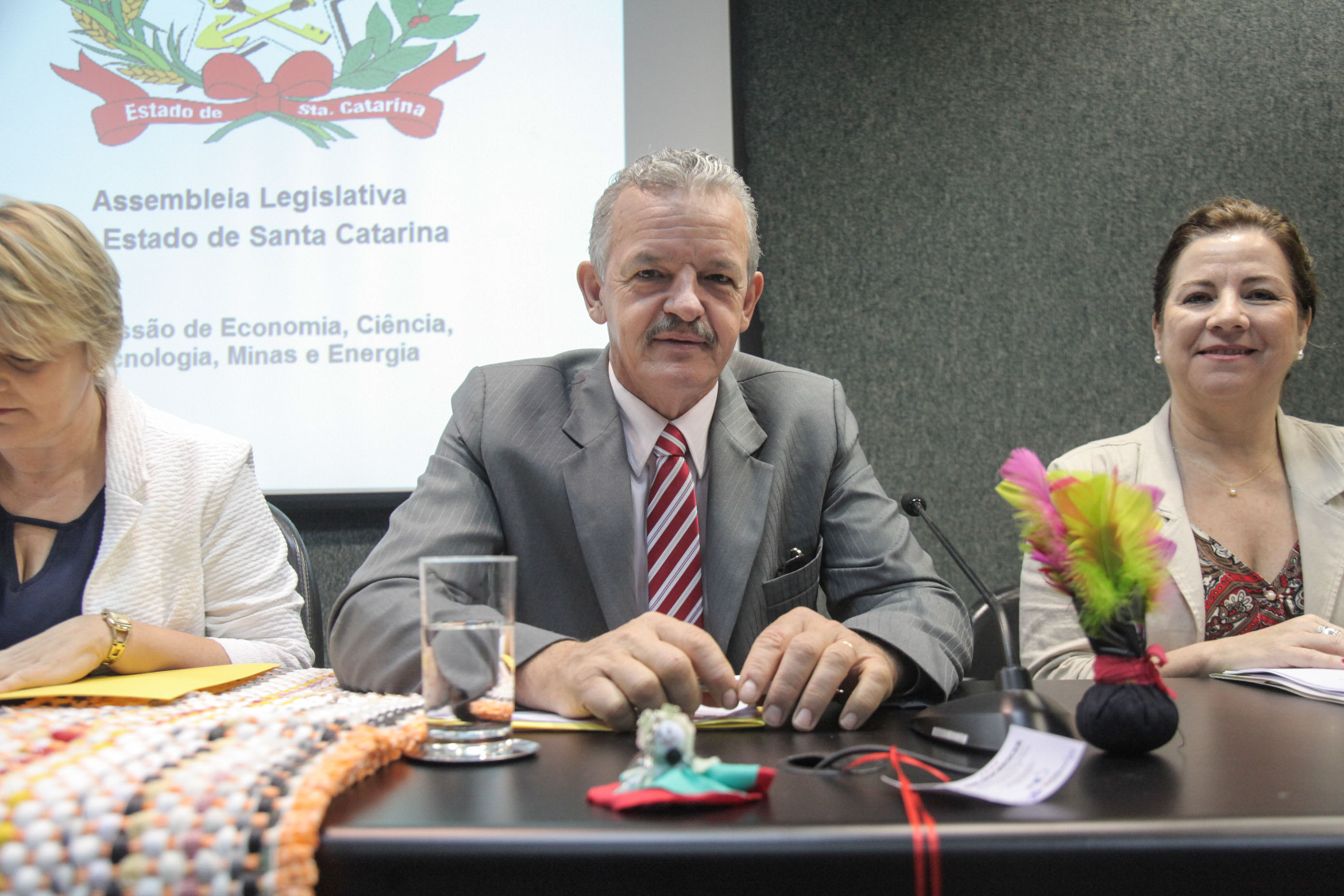 Audiência Pública sobre a Política de Economia Solidária em SC.