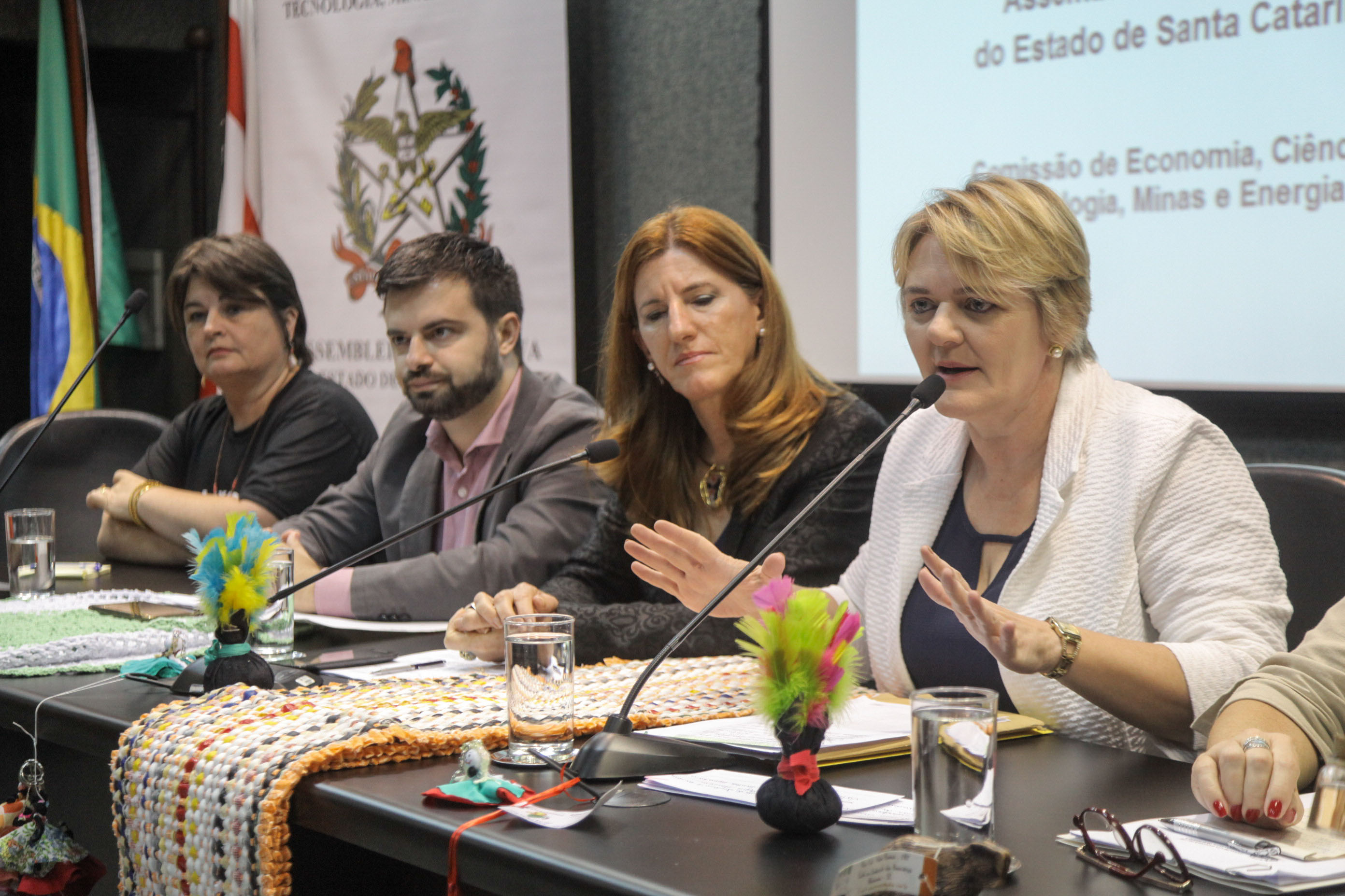 Audiência Pública sobre a Política de Economia Solidária em SC.
