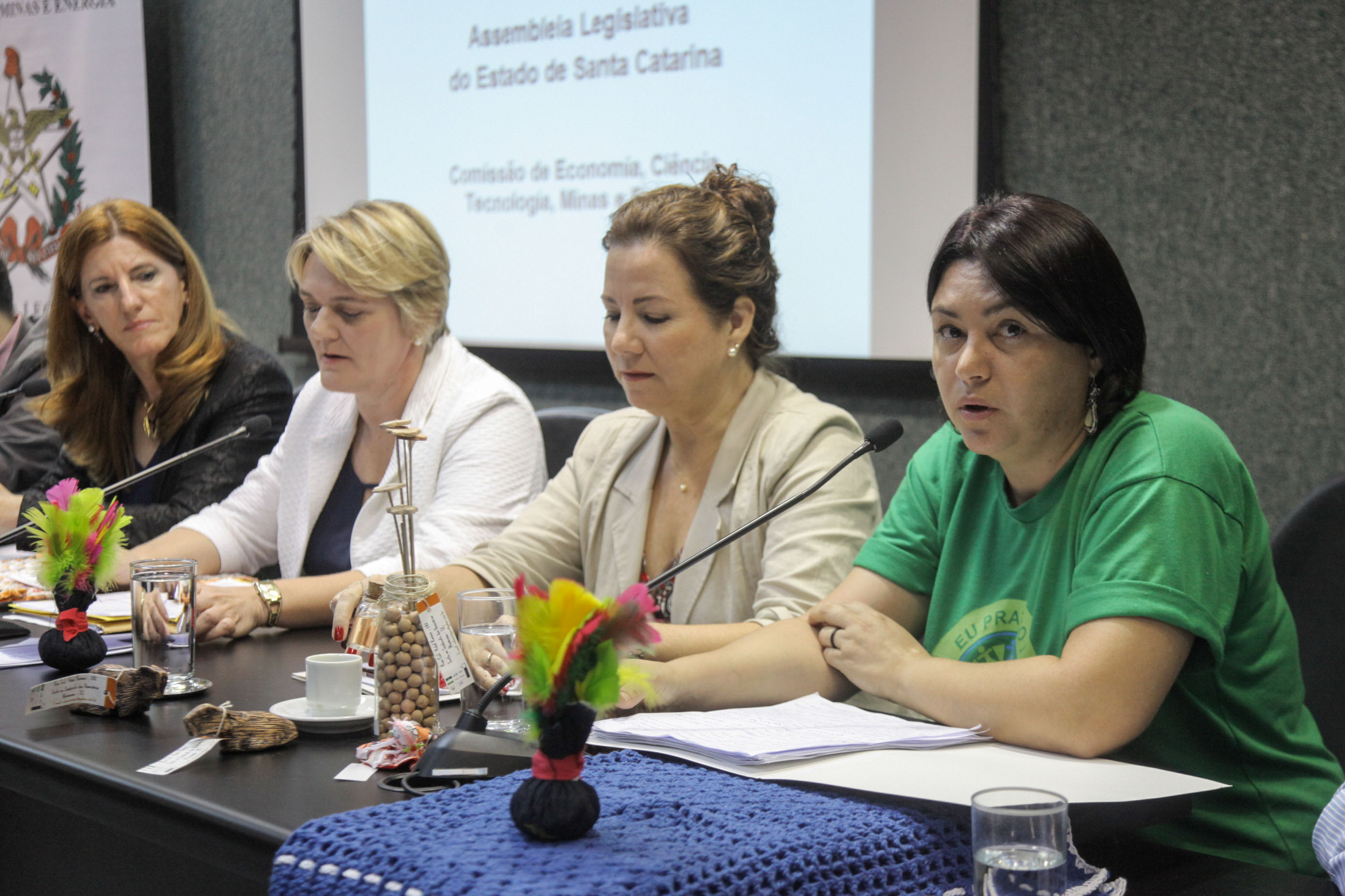 Audiência Pública sobre a Política de Economia Solidária em SC.