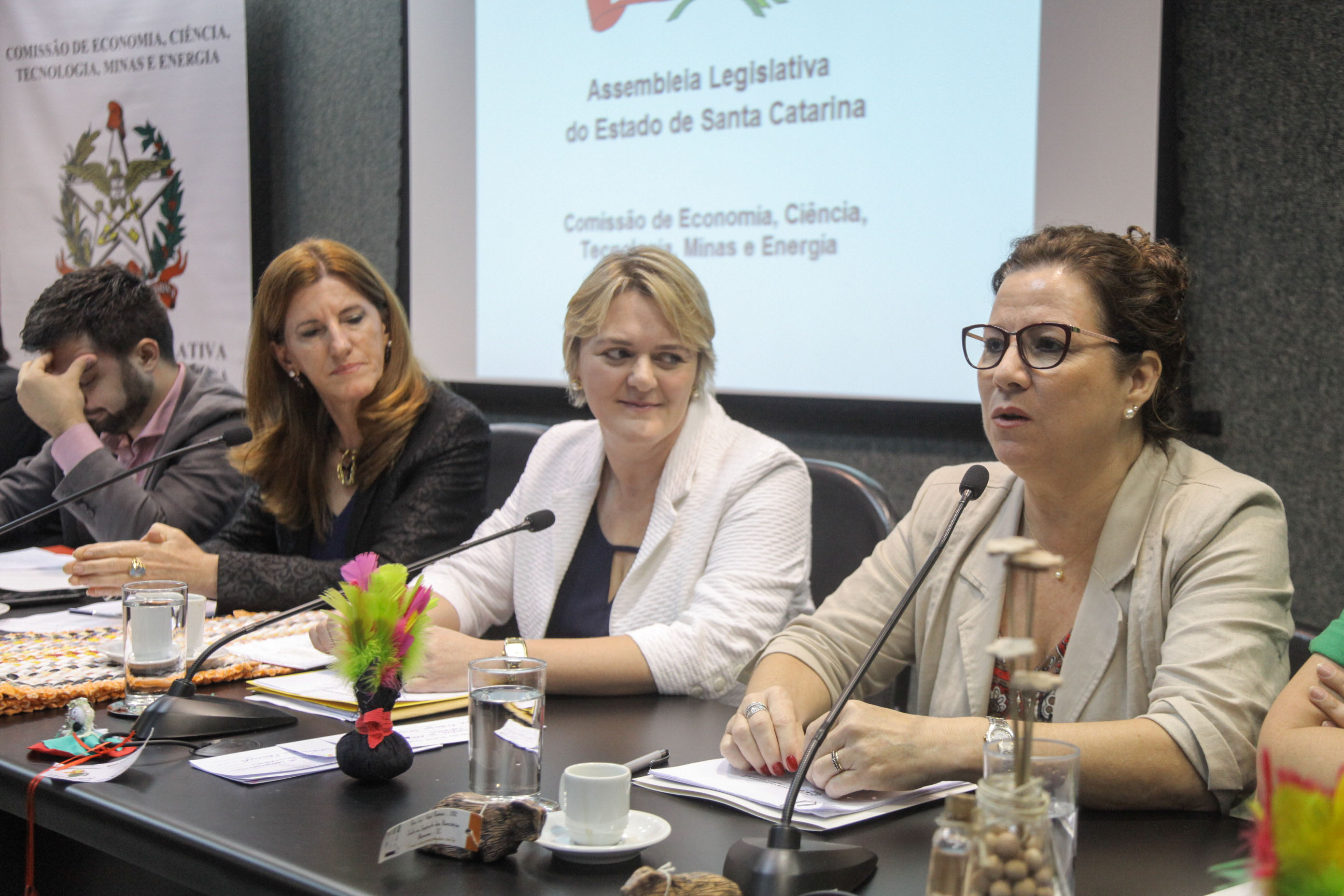 Audiência Pública sobre a Política de Economia Solidária em SC.