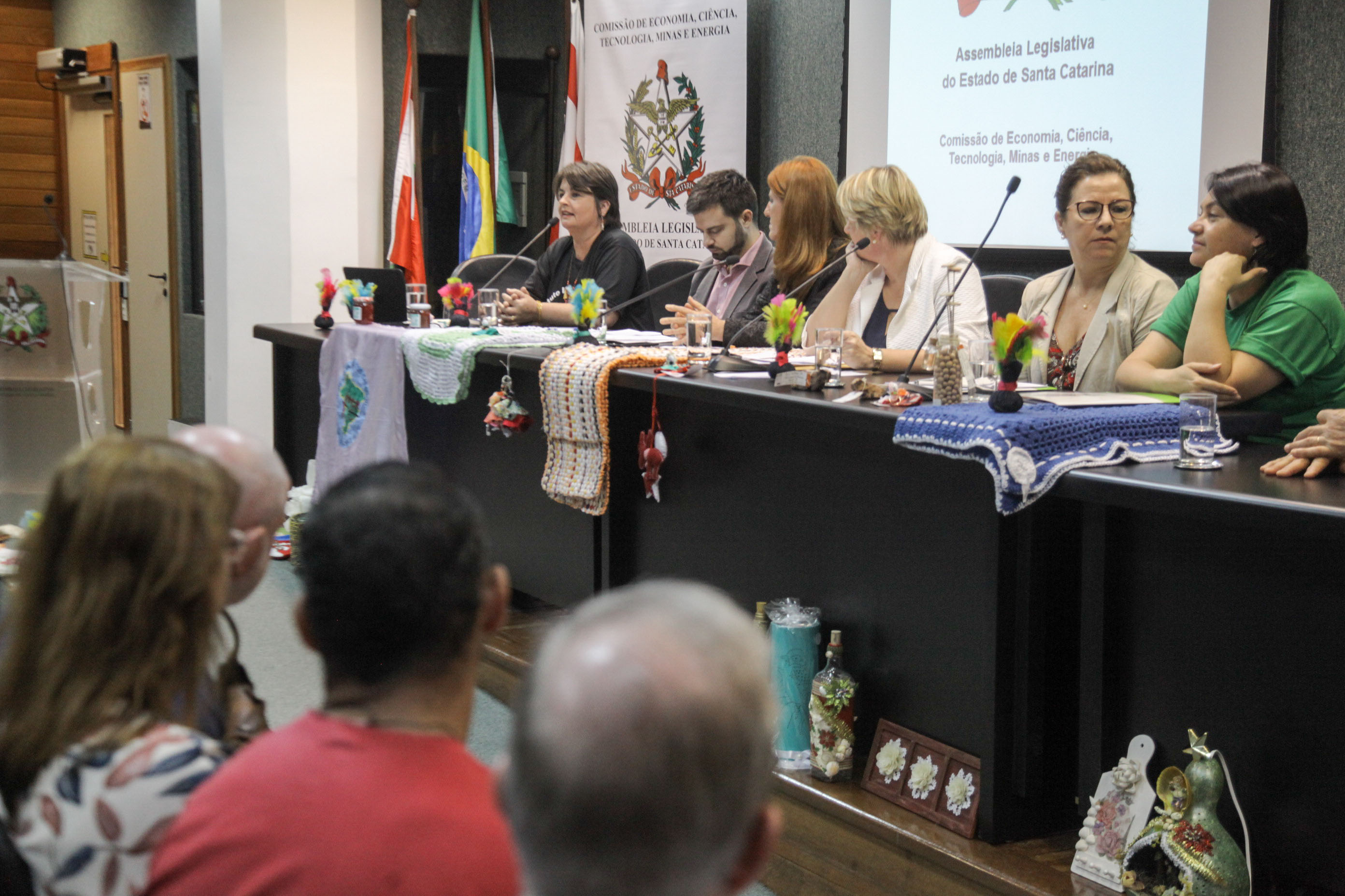 Audiência Pública sobre a Política de Economia Solidária em SC.