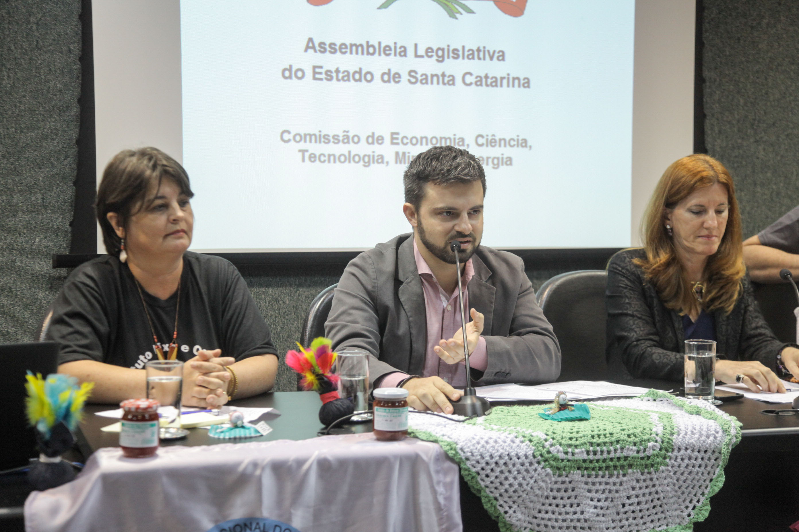 Audiência Pública sobre a Política de Economia Solidária em SC.