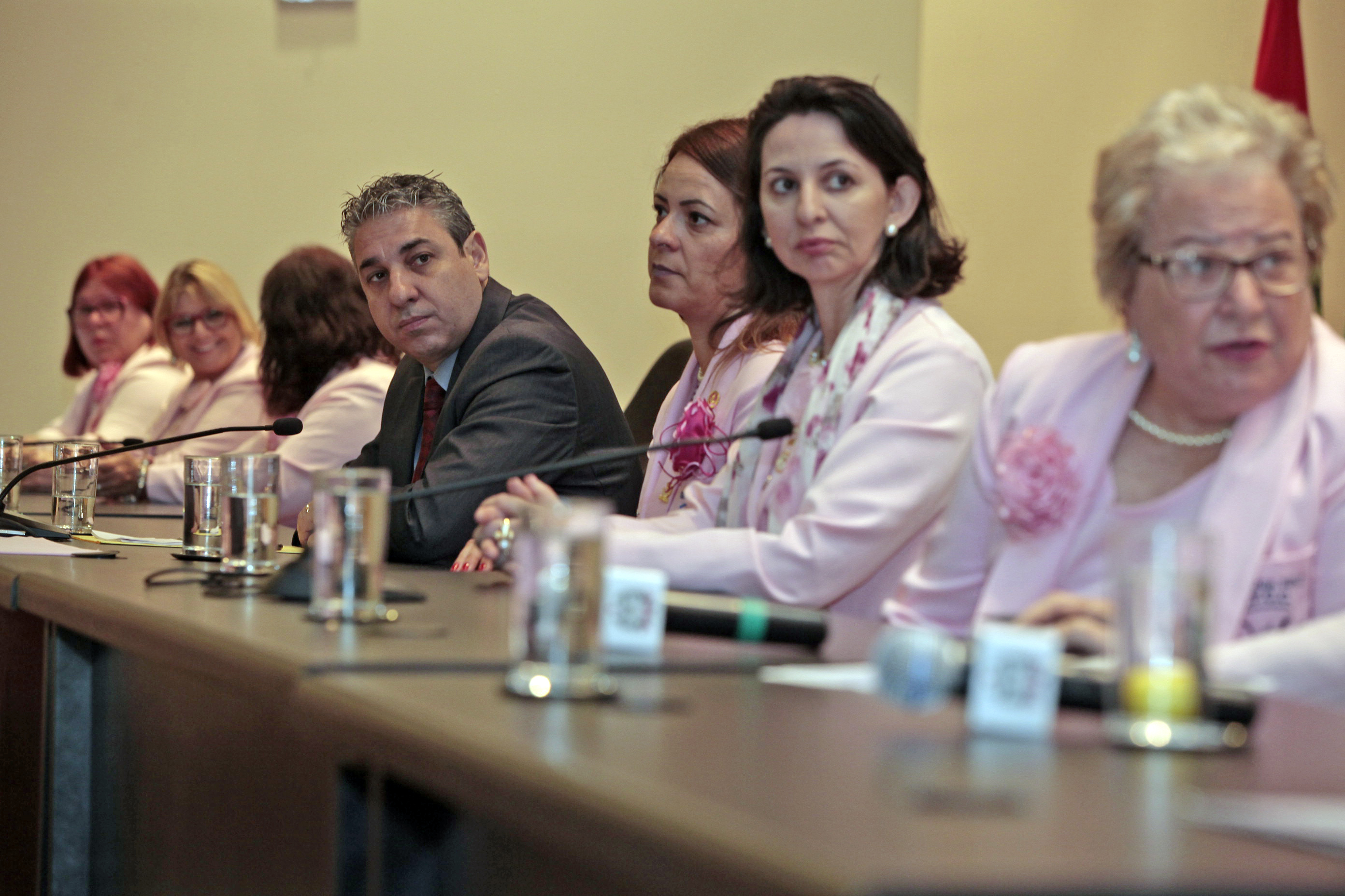 Encontro da Rede Feminina de Combate ao Câncer do Estado de Santa Catarina.