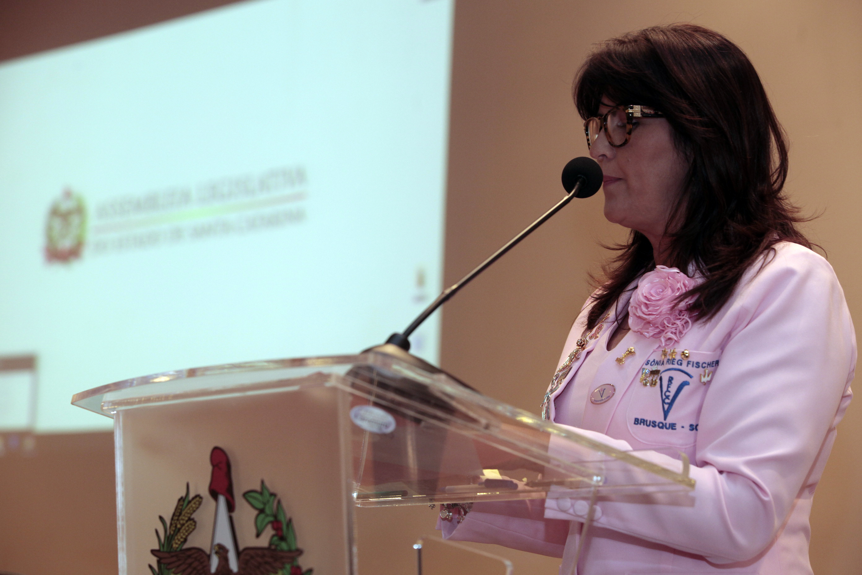 Encontro da Rede Feminina de Combate ao Câncer do Estado de Santa Catarina.