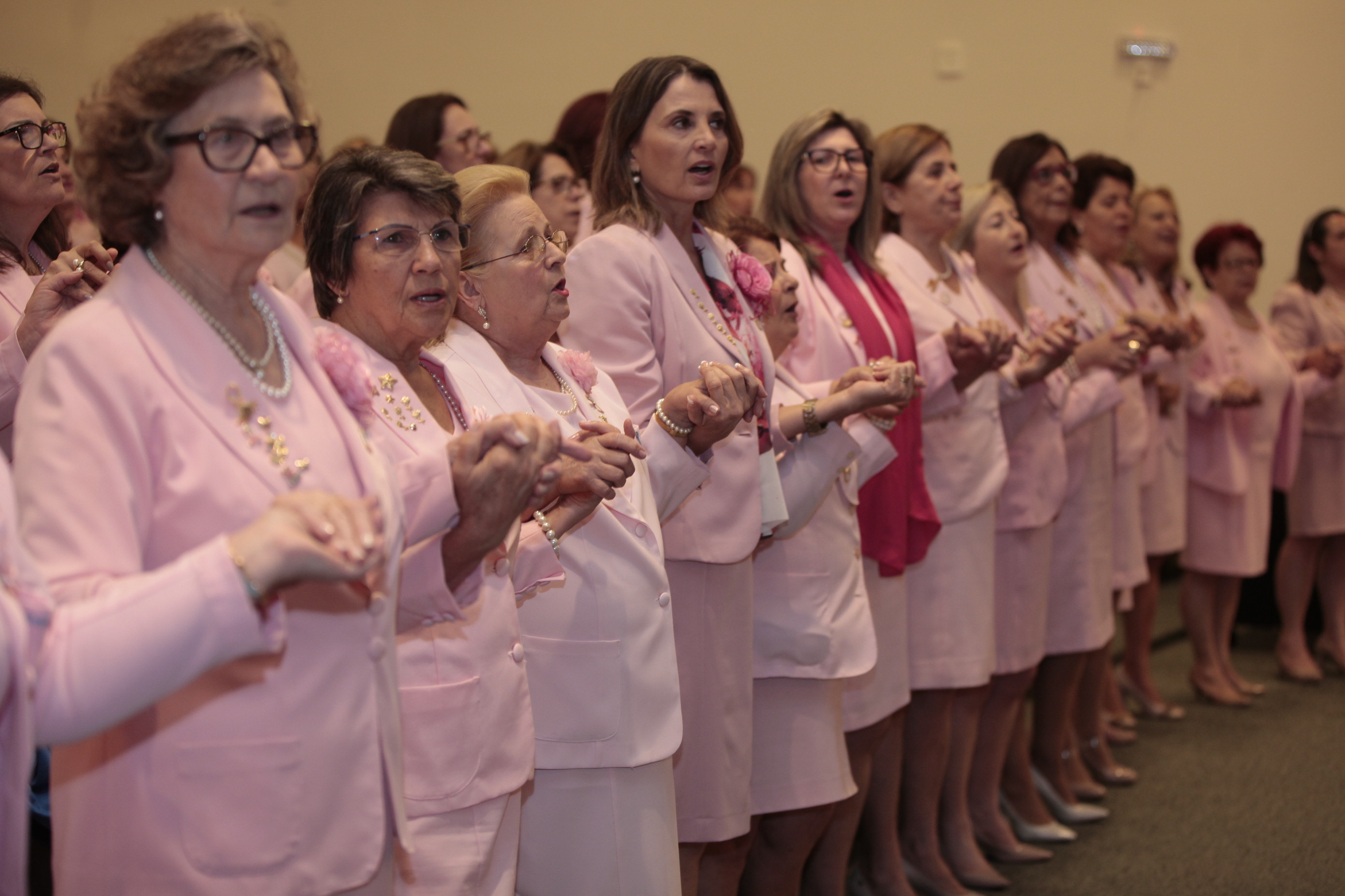 Encontro da Rede Feminina de Combate ao Câncer do Estado de Santa Catarina.