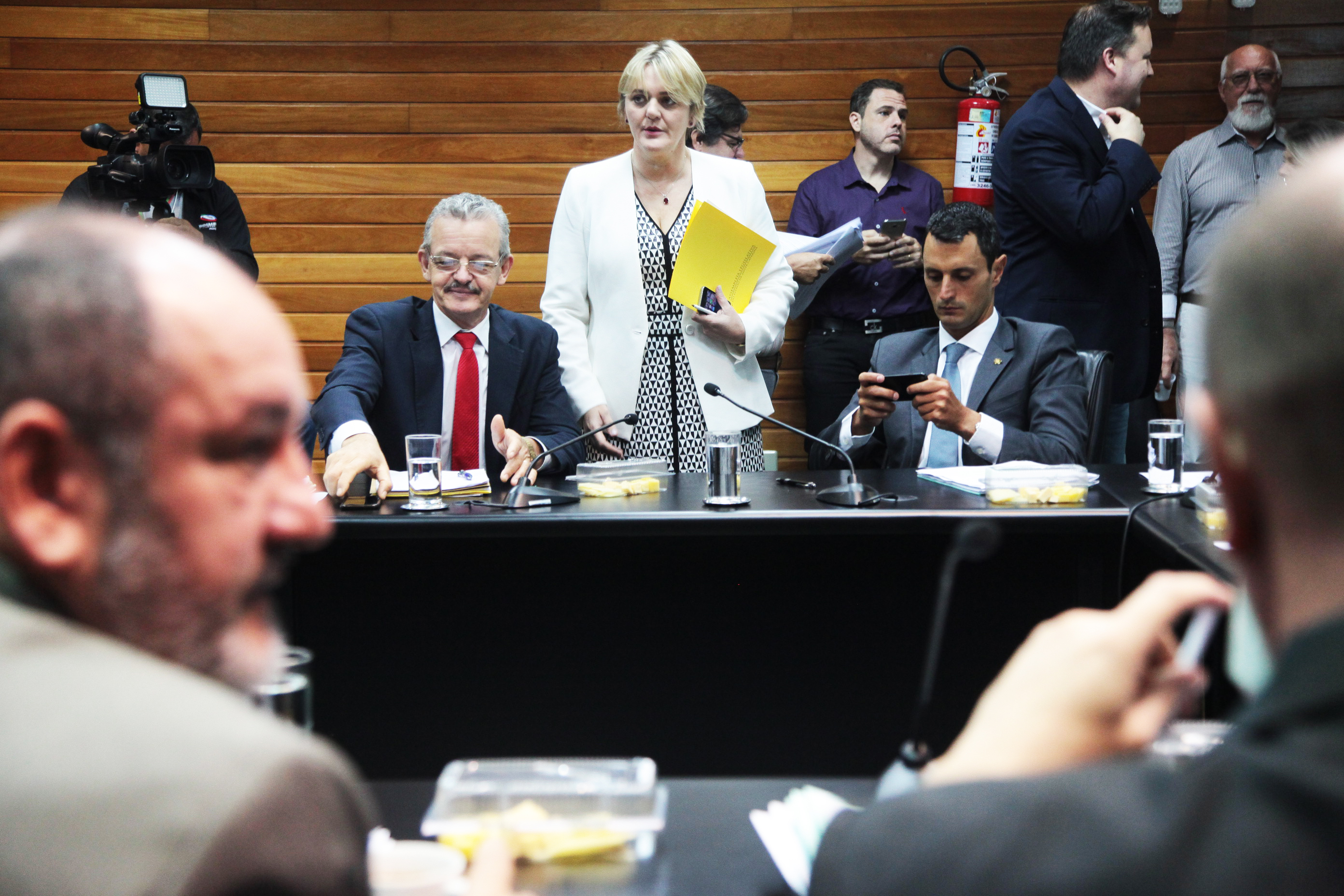 Comissão de Constituição e Justiça.