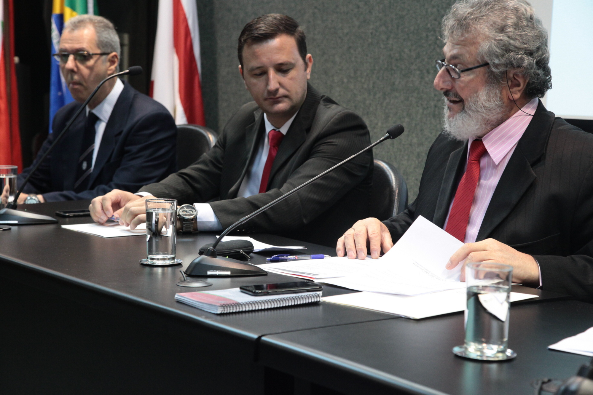 Deputado Padre Pedro Baldissera comandou a audiência
