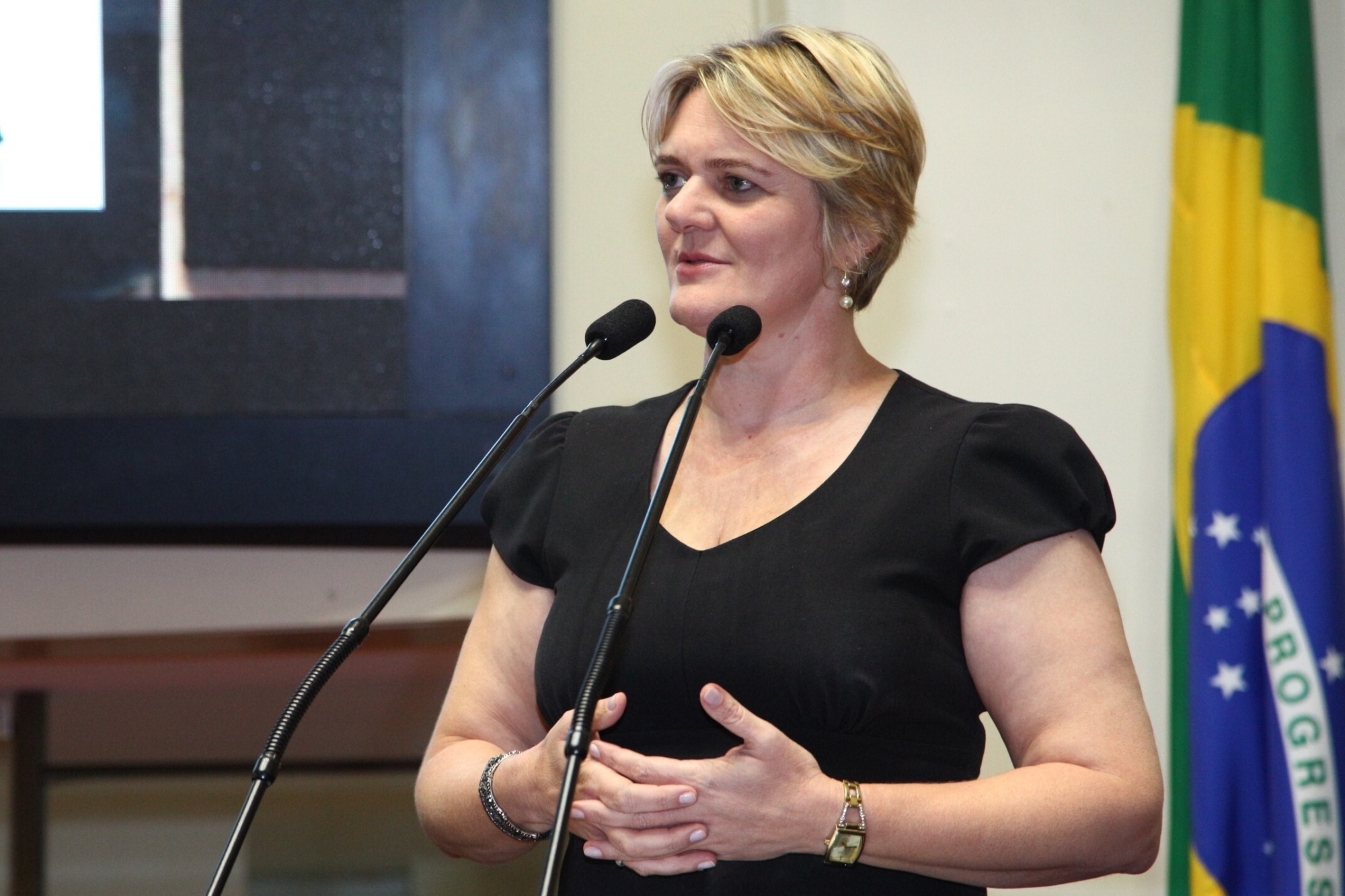 Luciane apresenta emendas para garantir recursos à cultura na LOA 2018