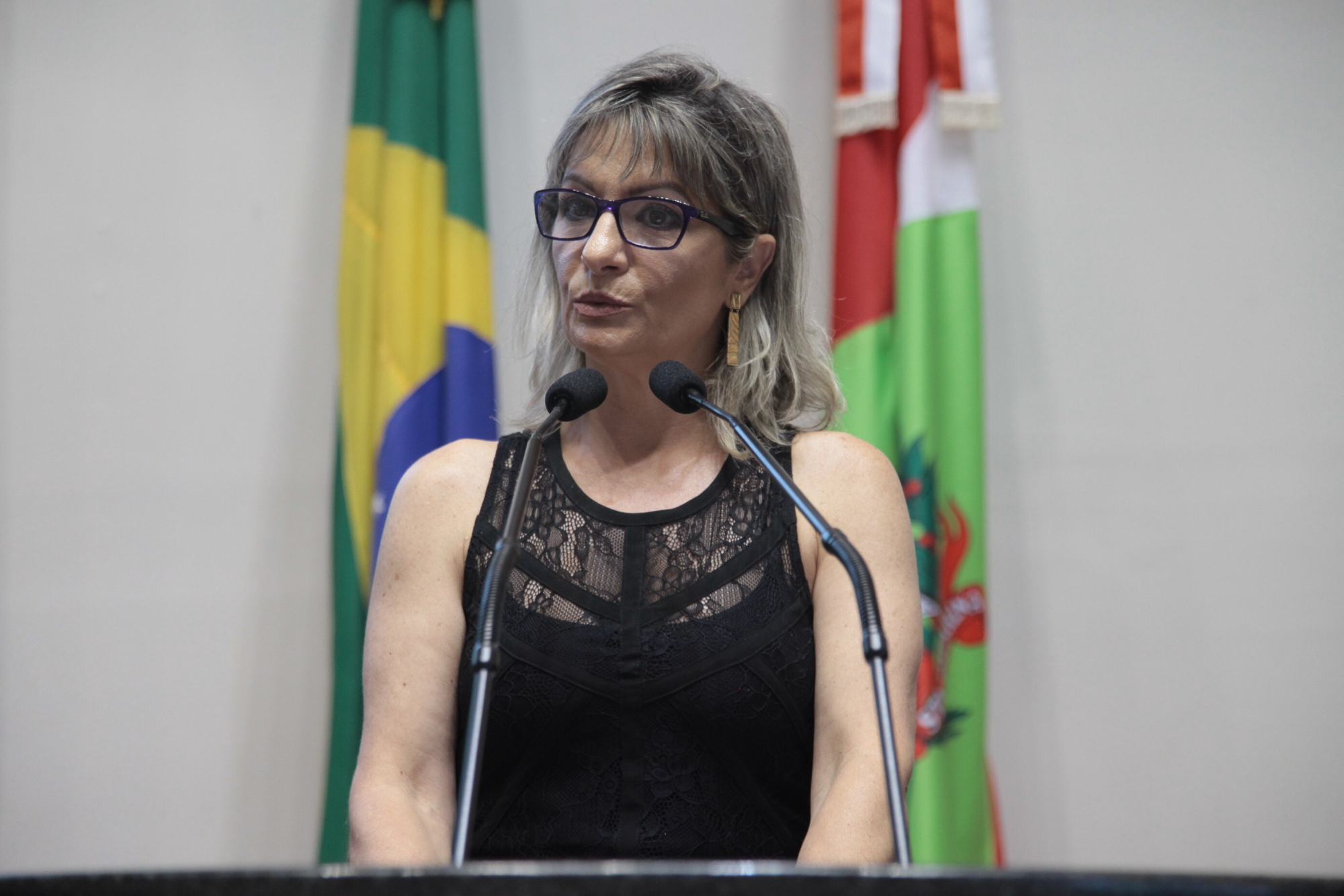 Presidente interina da Comissão Mista de Responsabilidade Social, Raquel Souto