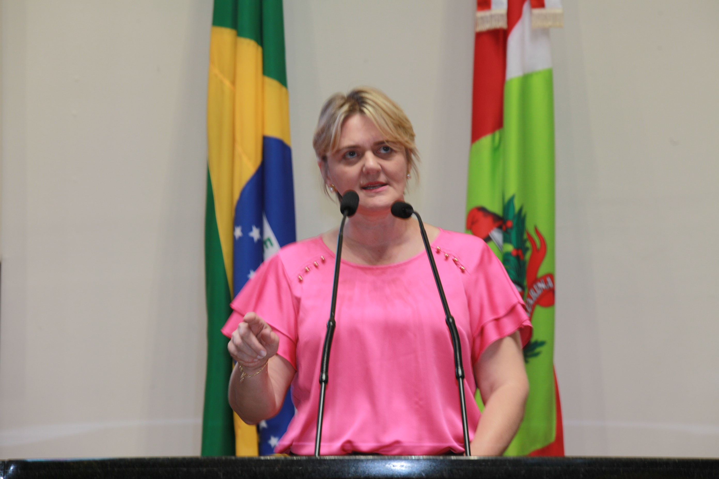 Sessão Plenária - Deputada Luciane Carminatti (PT)
