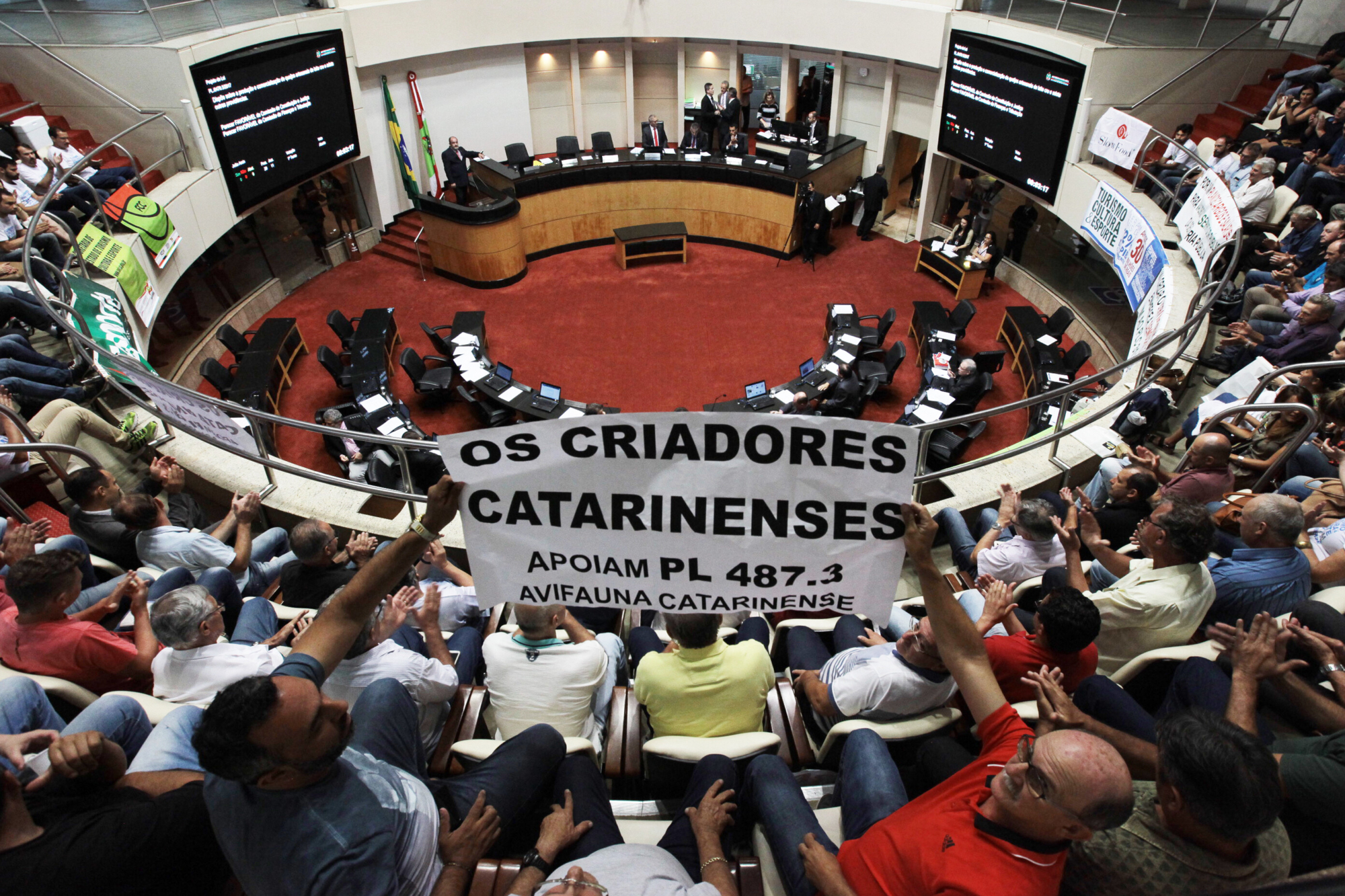 Deputados aprovam 33 projetos na tarde desta quarta-feira (13)