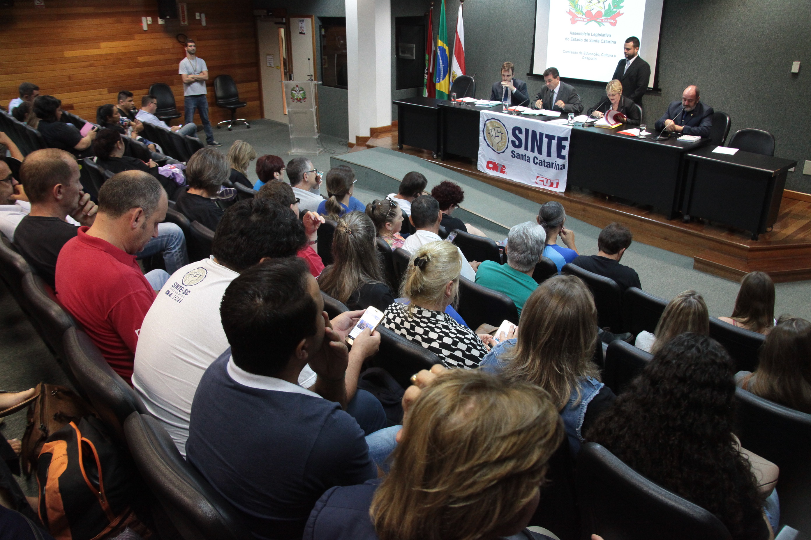 Comissão de Educação, Cultura e Desporto