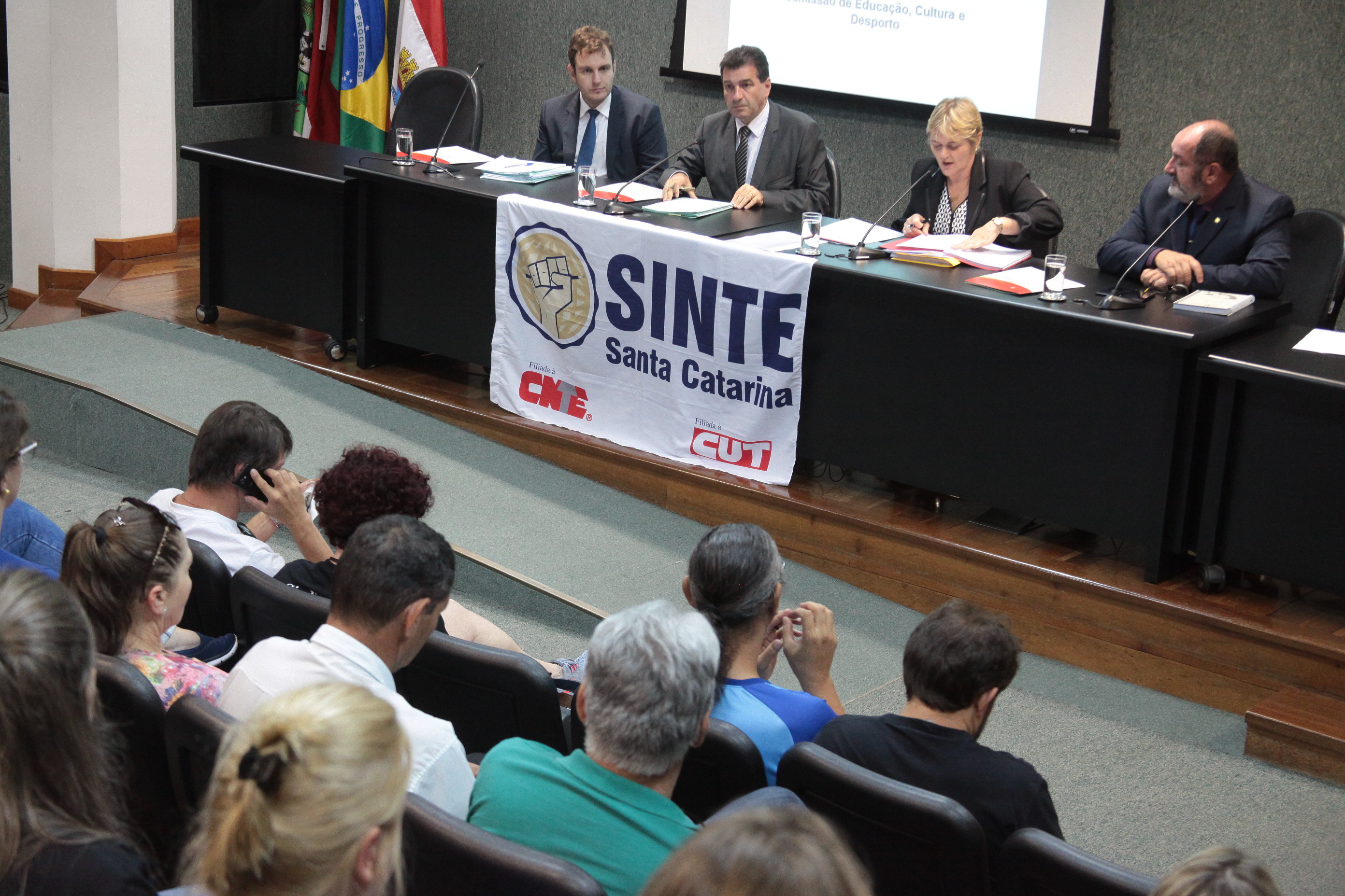 Comissão de Educação, Cultura e Desporto