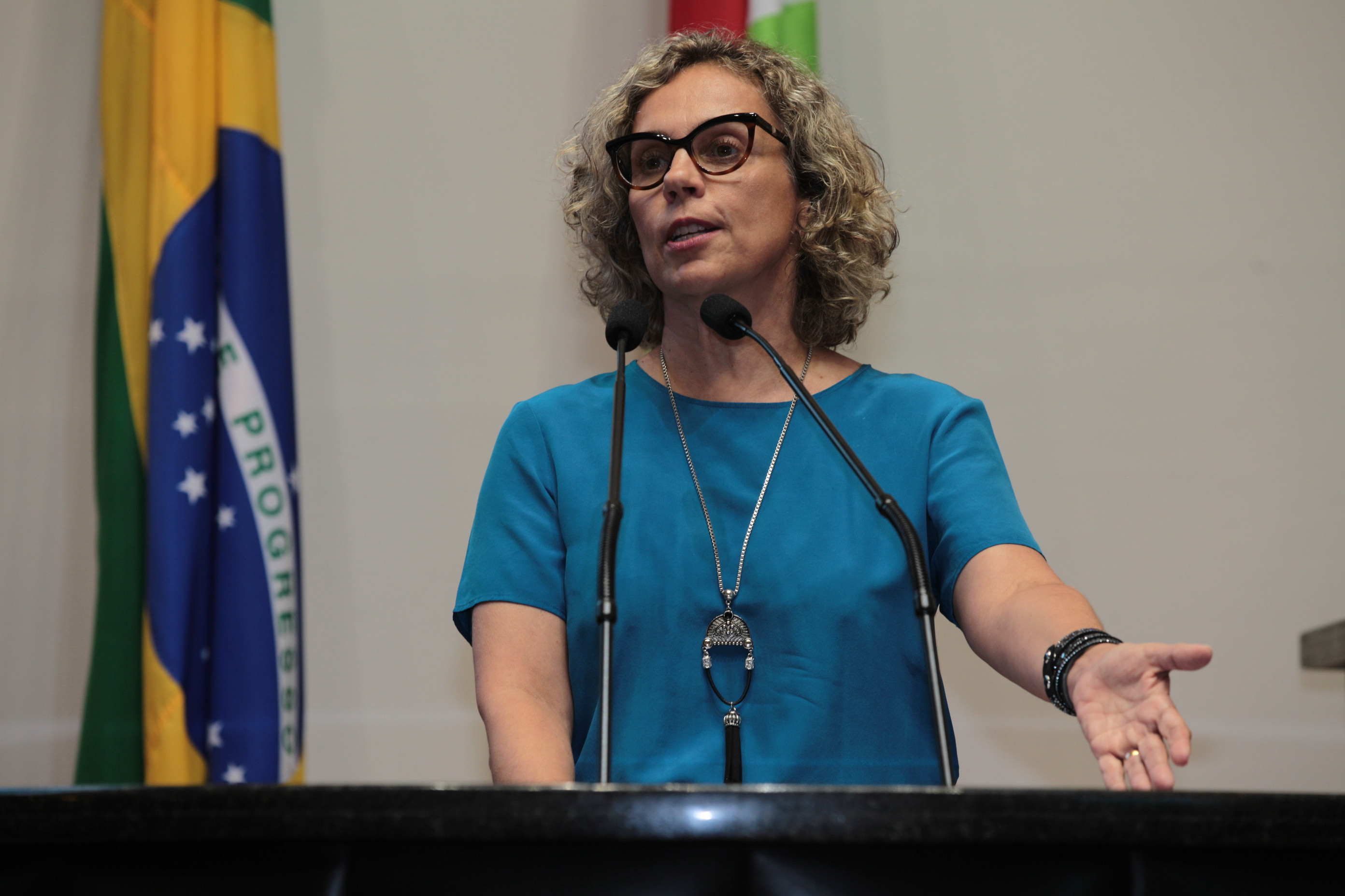 Sessão Plenária - Deputada Ana Paula Lima (PT)