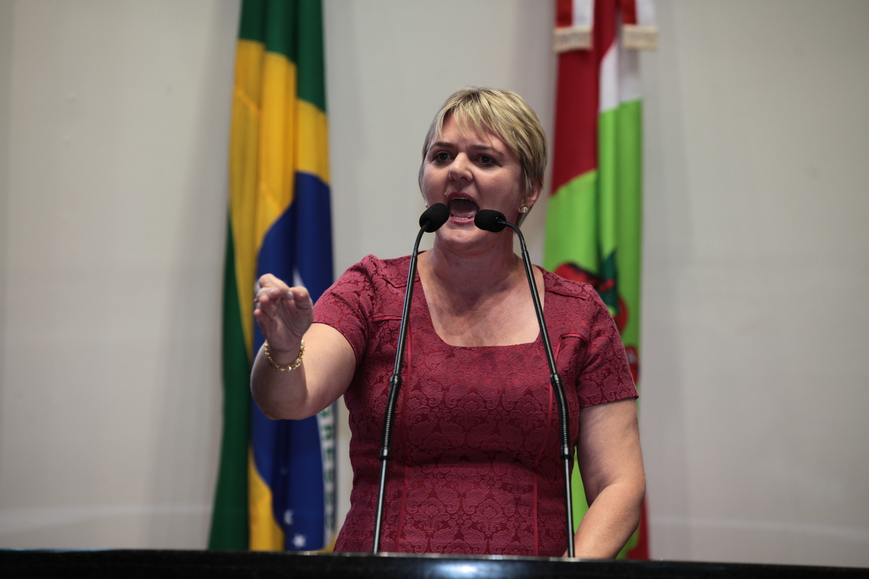 Sessão Plenária - Deputada Luciane Carminatti (PT)