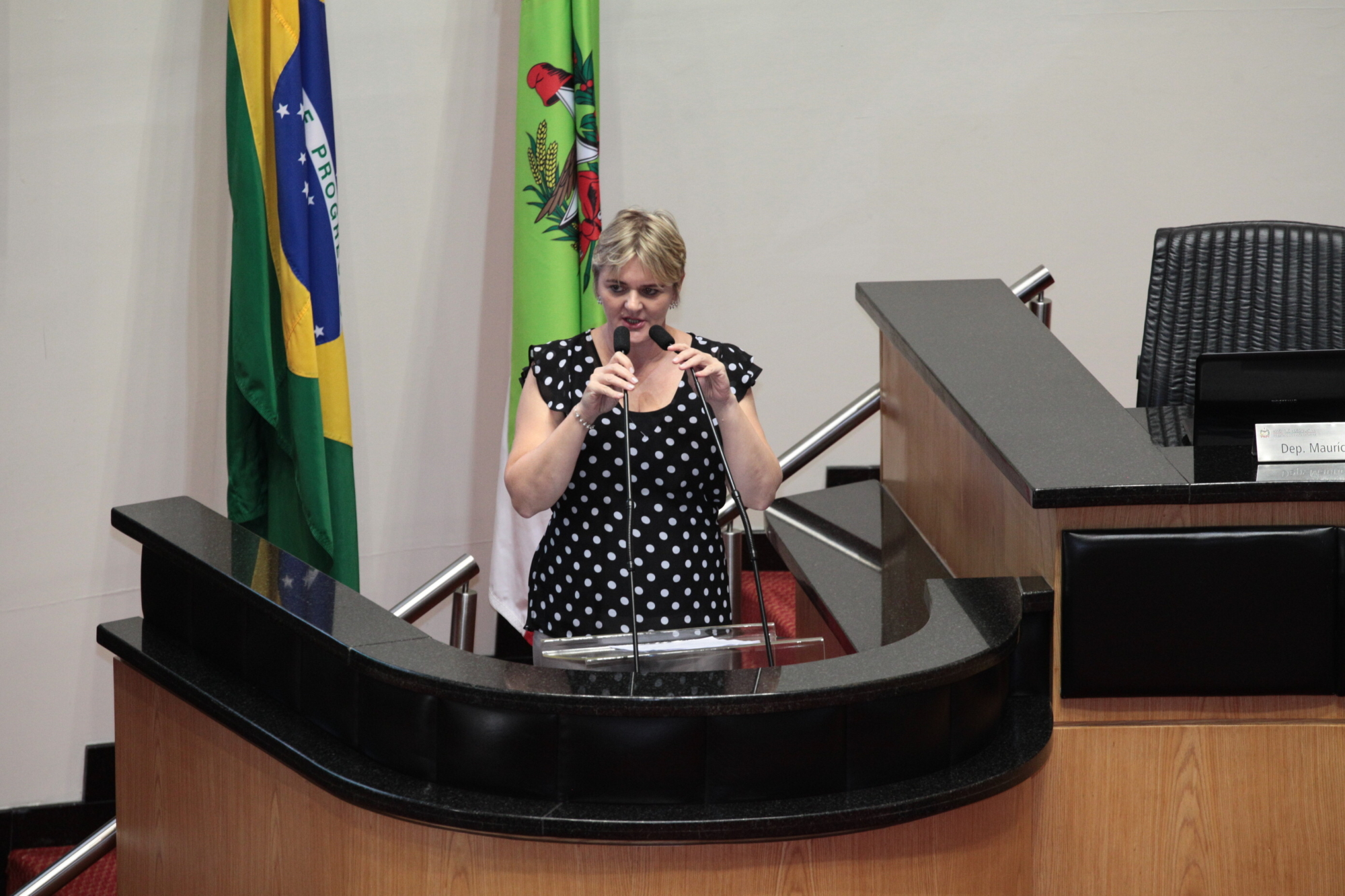 Luciane diz que governo do Estado usa de ADINs para não cumprir leis
